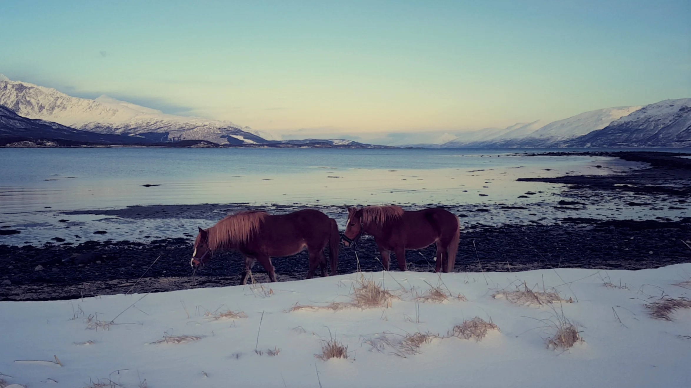 Best of Lyngen