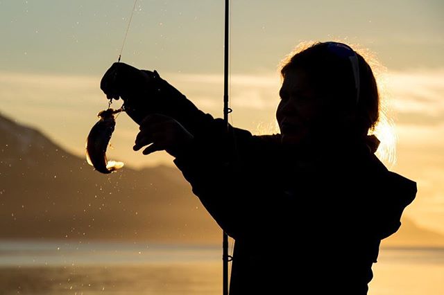 Finshing in the midnight sun 🐟🌅
&bull;
&bull;
&bull;
#lyngenalps #thelyngenalps #lyngenfjord #midnightsun #ul&oslash;y #visitnorway #visitlyngen #nordtroms #bestoflyngen