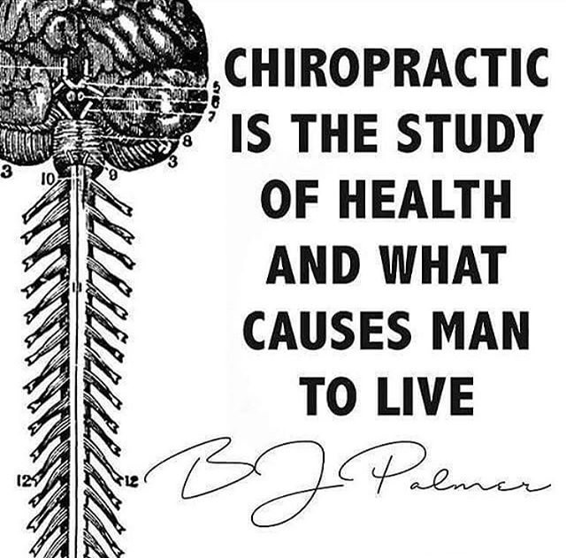 Chiropractic is for Everyone!!!! Not just people in pain, see what we can do for you today! .
.
.
.
#chiropractic #chiro #adjustment #BJpalmer #innate #history #innateconnection #georgia #connect #health #move #movement #life #movementislife