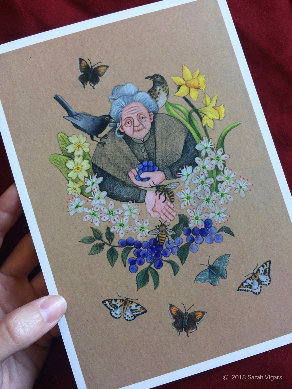 Blackthorn A5.jpg
