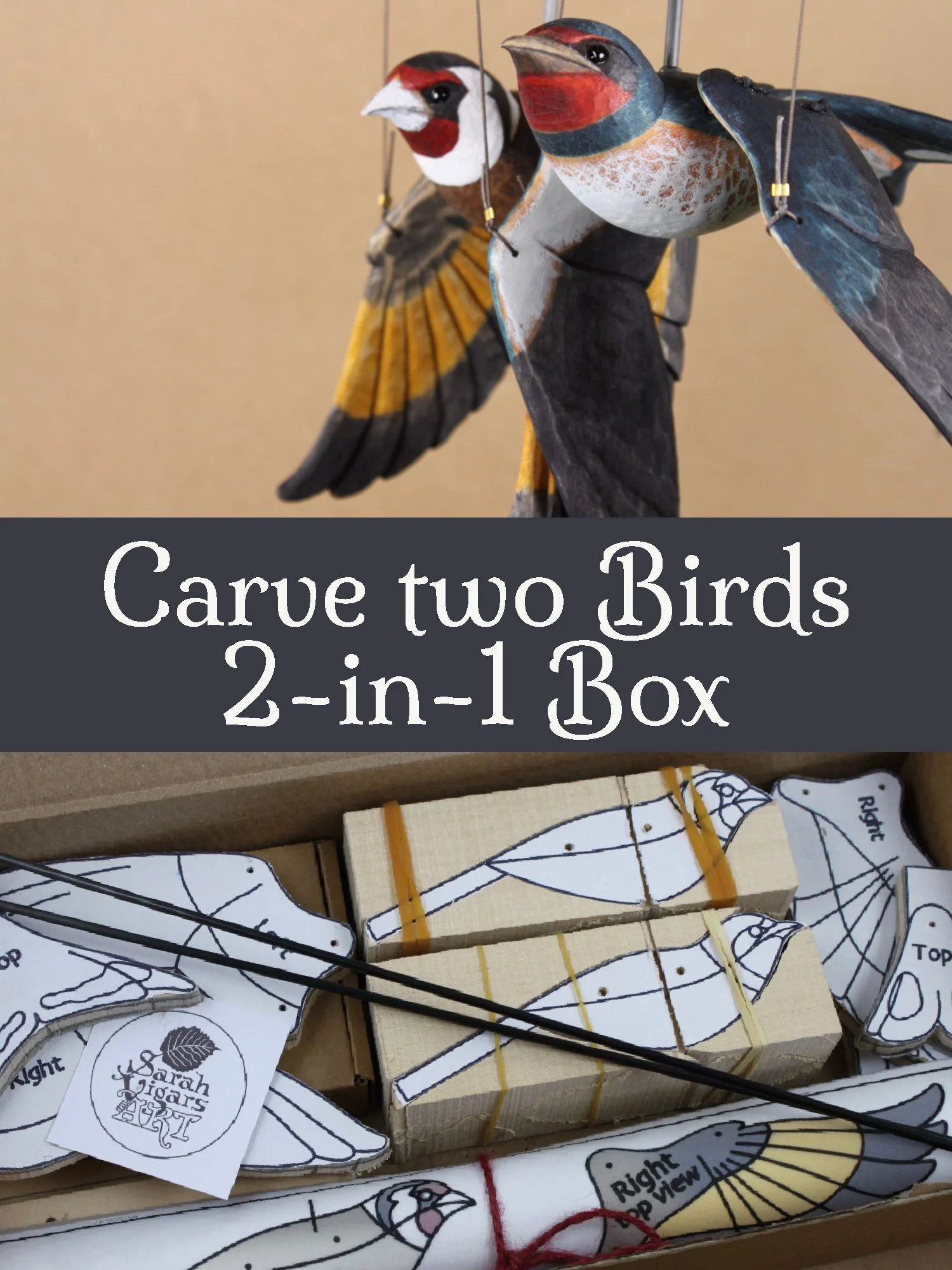 2-in-1 Bird Carving Kit