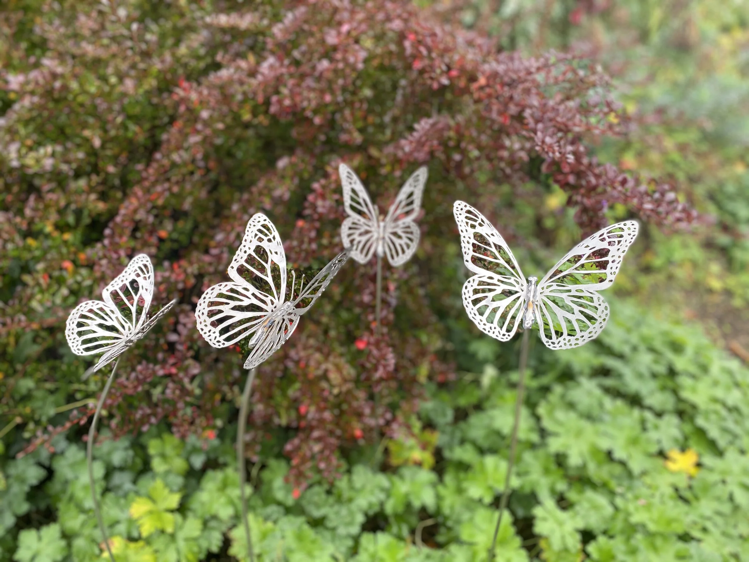 Stainless Steel Metal Animal Butterfly Sulpture by James Sutton