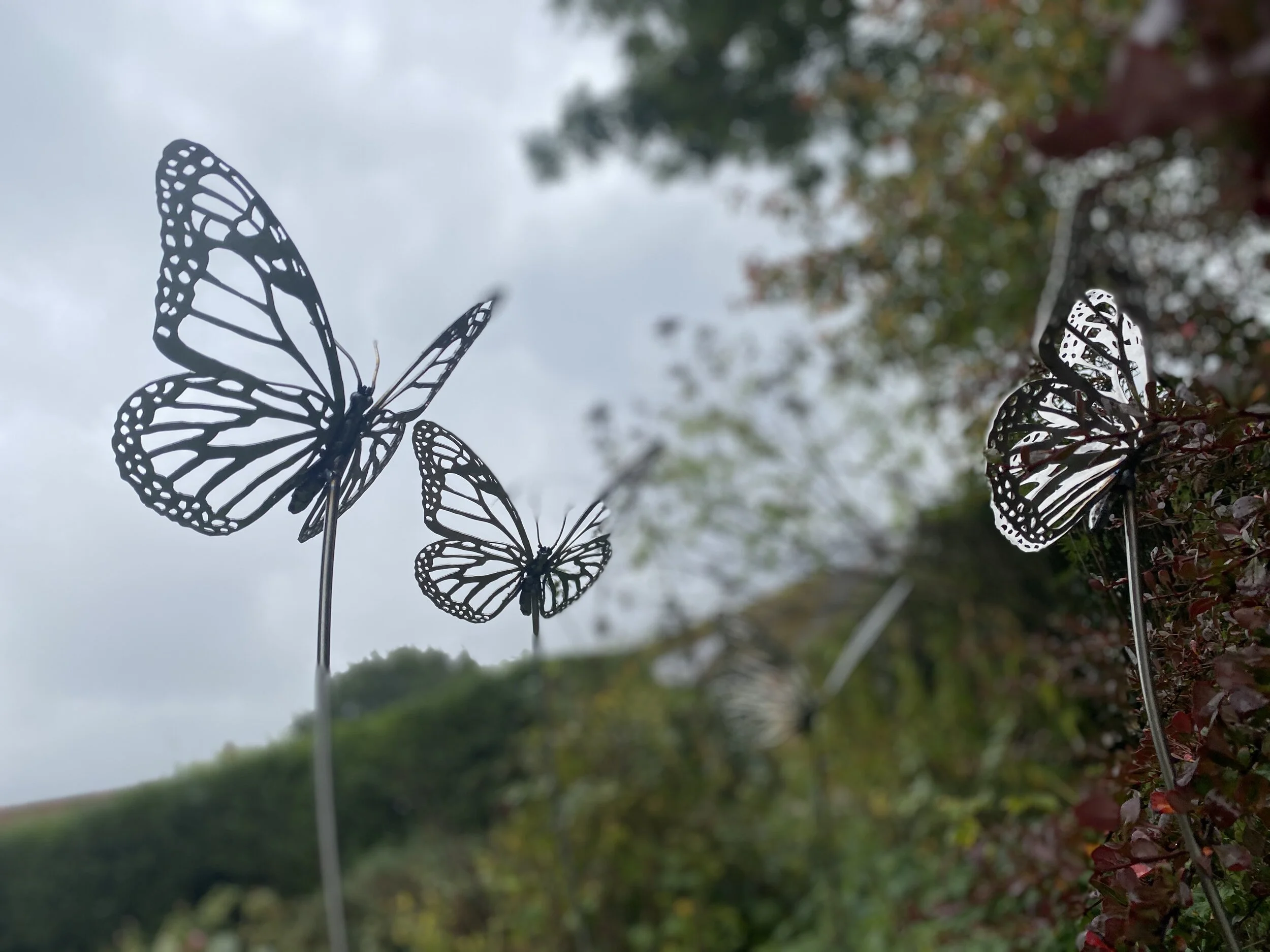 Stainless Steel Metal Animal Butterfly Sulpture by James Sutton