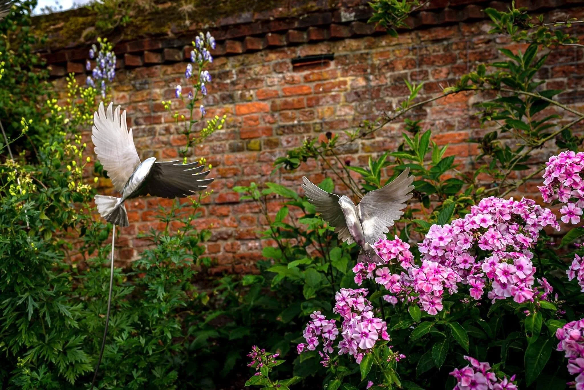 Stainless Steel Metal Animal Bird Sulpture by James Sutton
