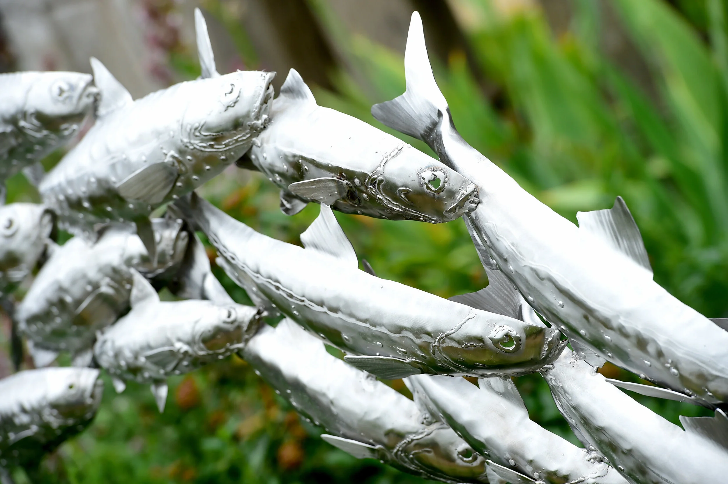 Stainless Steel Metal Animal Fish Shoal Sulpture by James Sutton (Copy) (Copy)