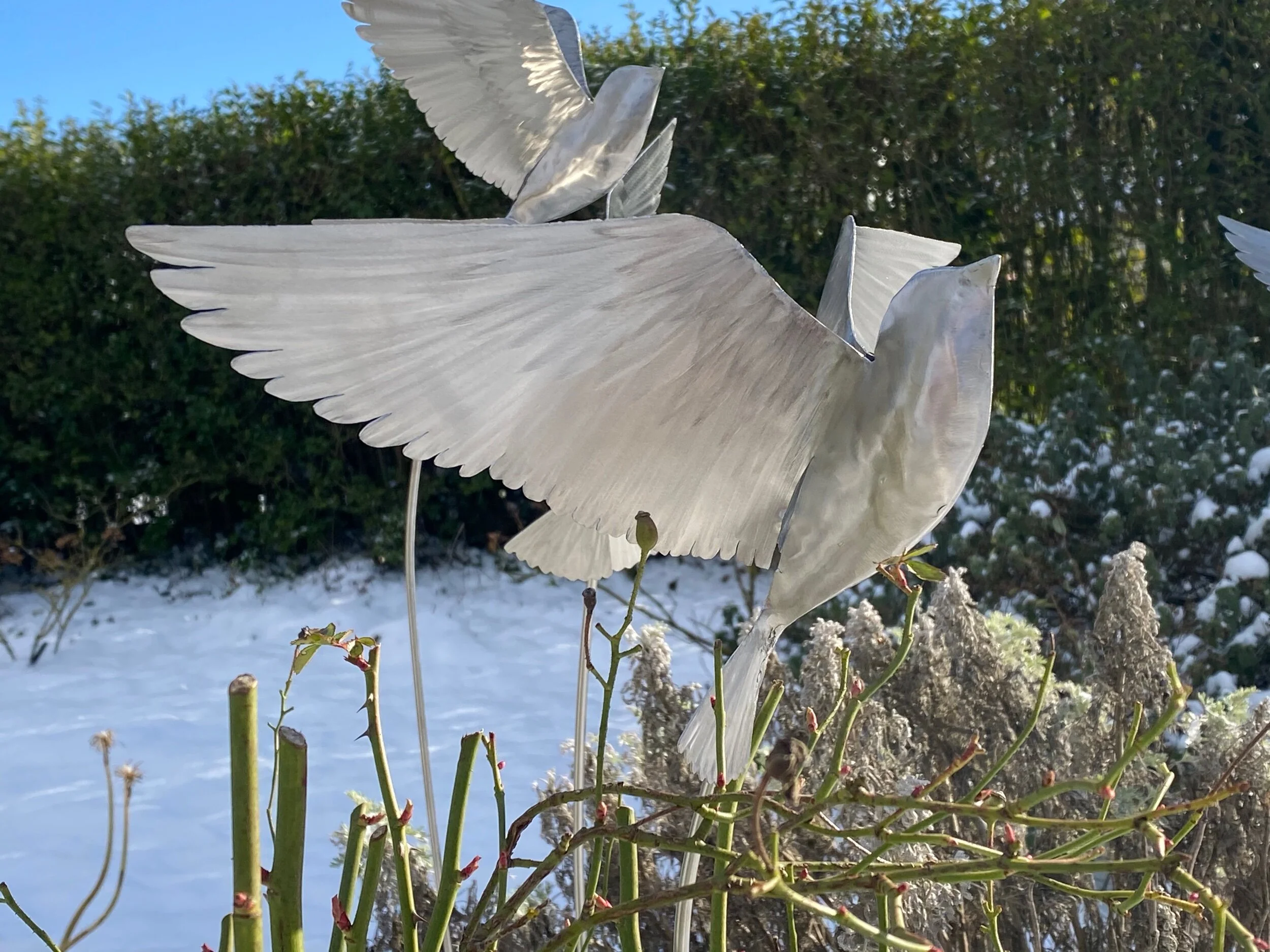 8110A435-248C-495B-8A9F-690B64B943C8