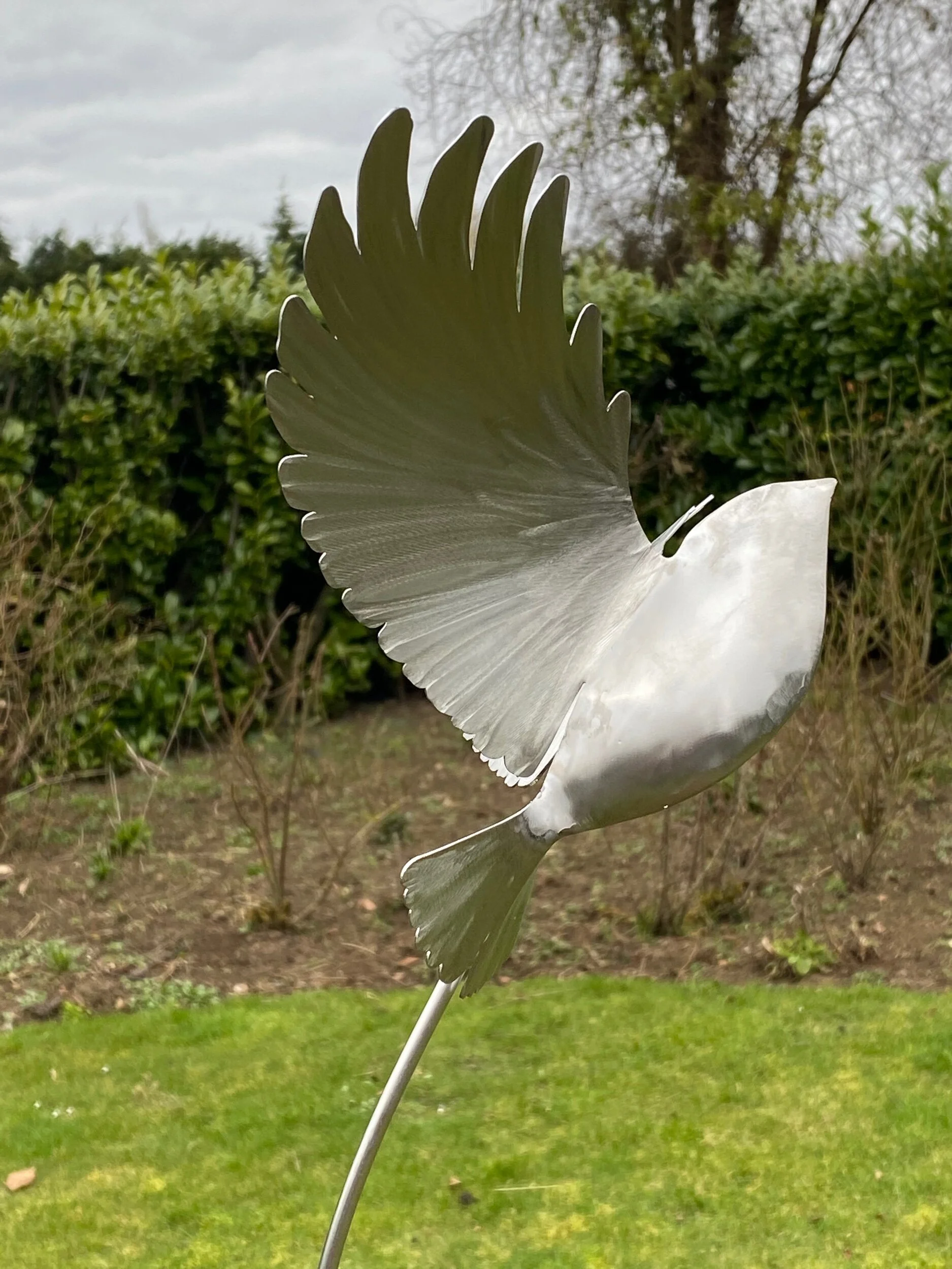 A1357956-FE60-4152-BEEC-9A4F24C7107E