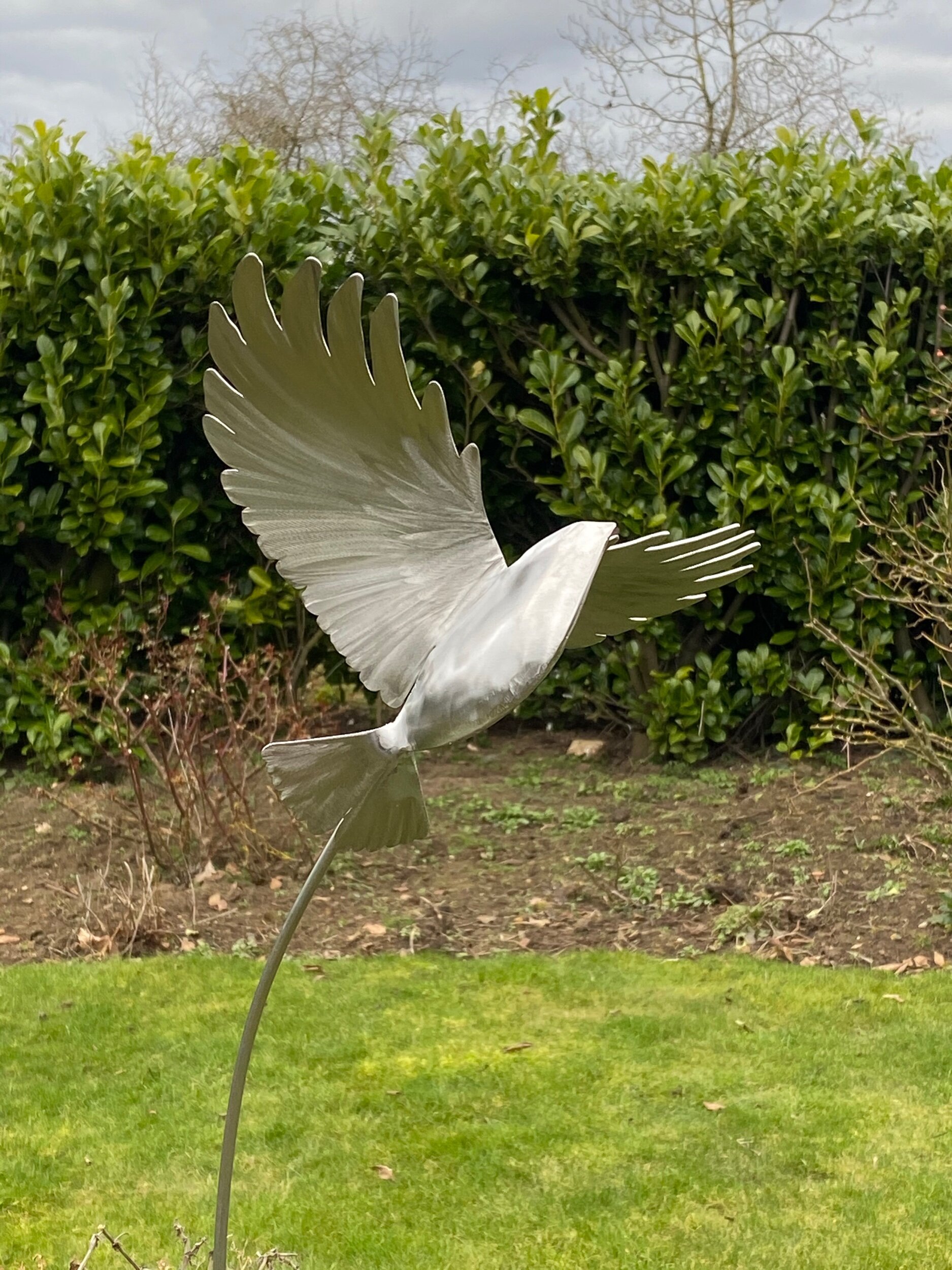 224AC668-C99D-4CA7-905B-B20241914FE3