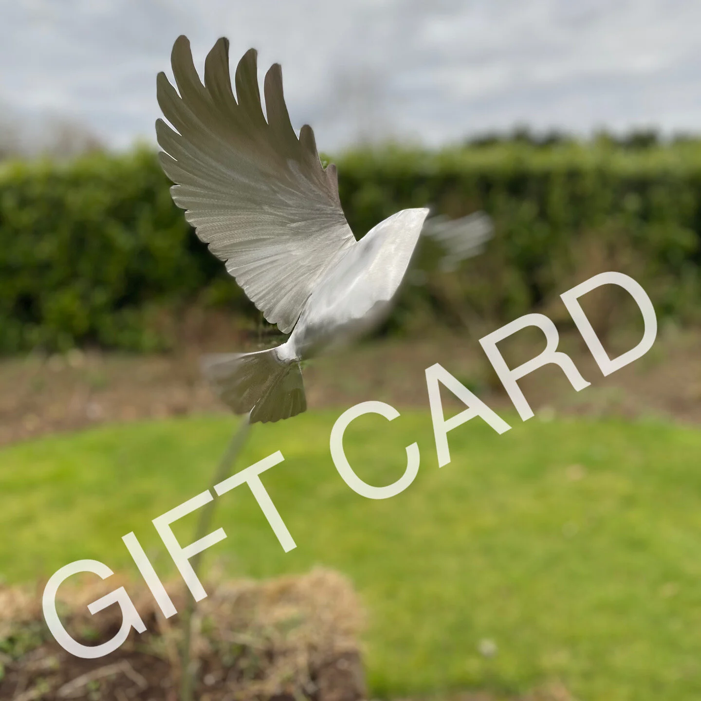 489A5E24-43F9-4453-96AF-4A4BFC0342ED