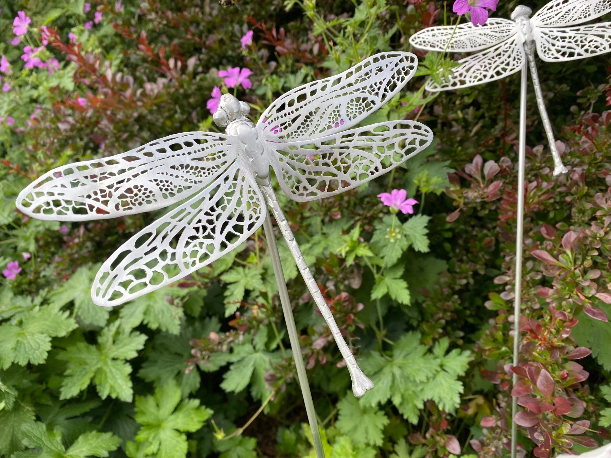 A49BE6F2-7F39-4E05-8813-5B65A08710EC