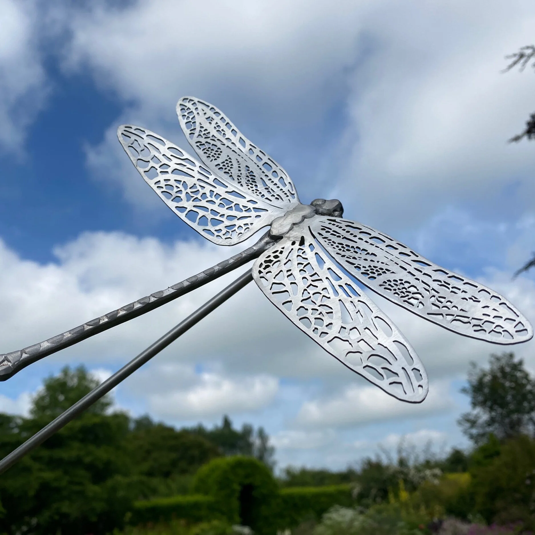 Drsgonfly sculpture by James Sutton Sculpture 316 Stainless steel