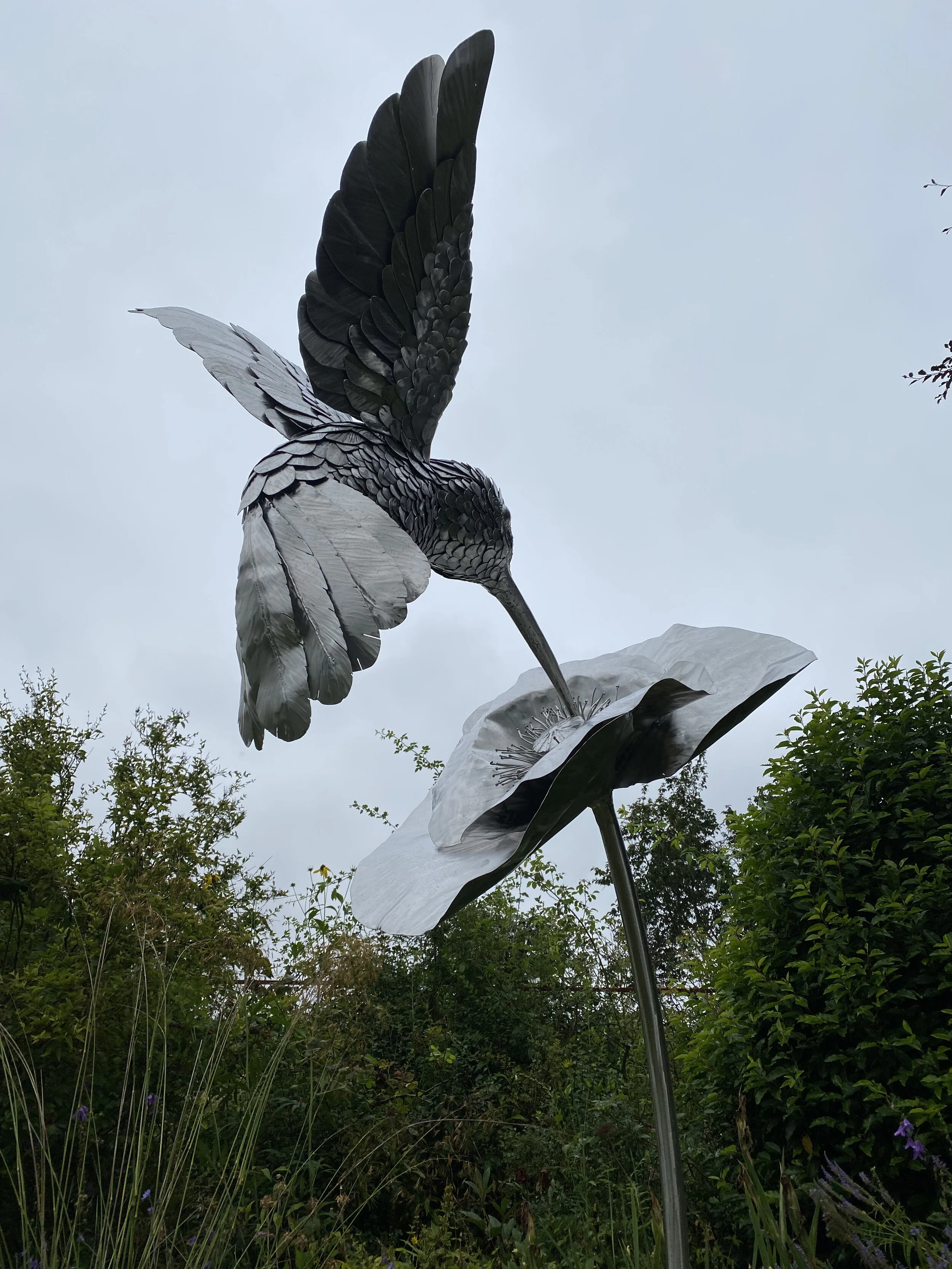 Hummingbird sculpture by James Sutton Sculpture