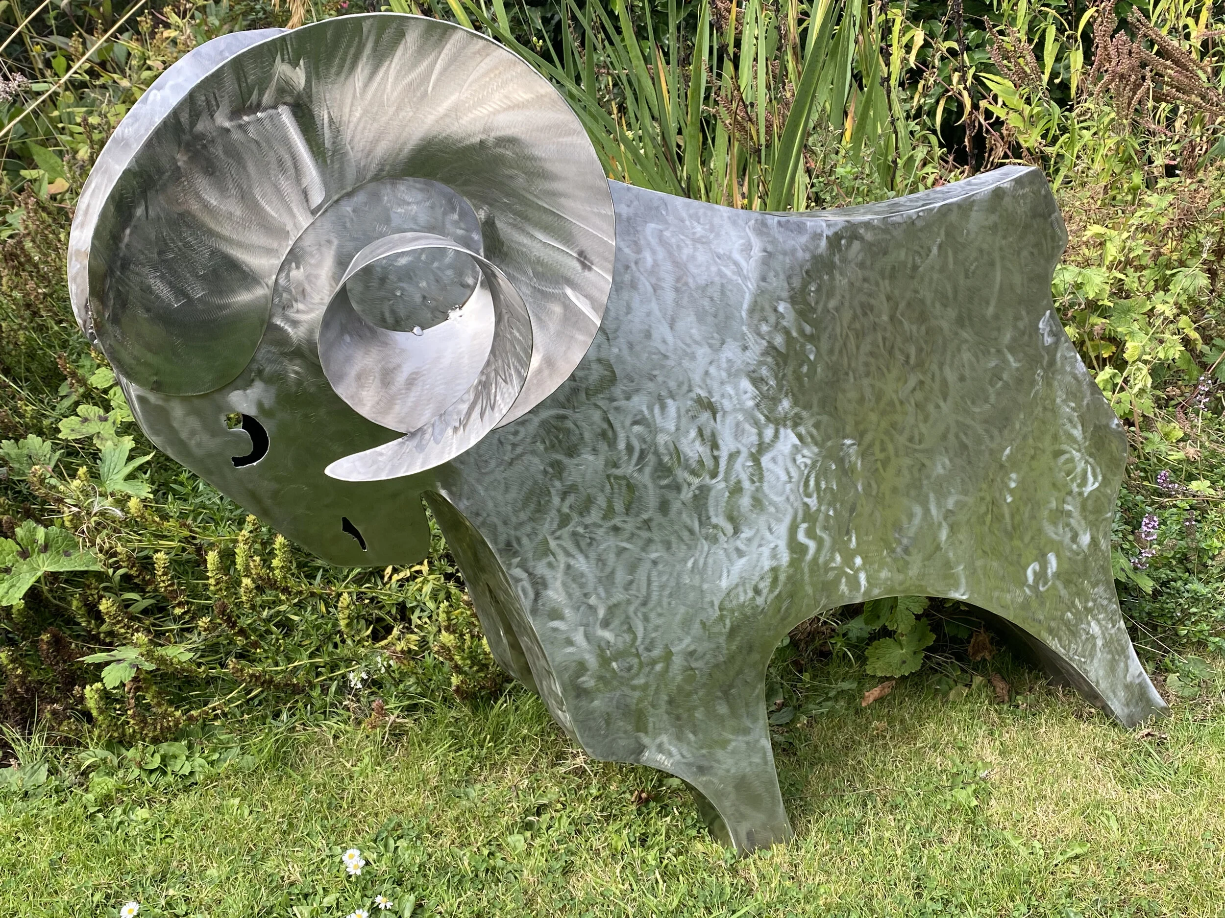 James Sutton Sculpture Derby Ram 5.jpeg