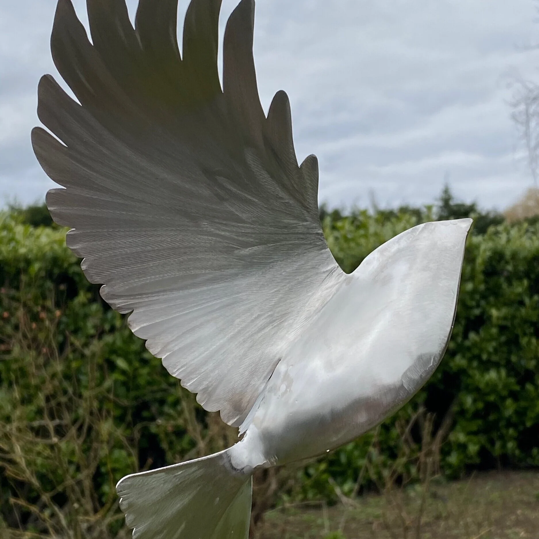 F0AF92C5-C024-41E2-8C9F-33D9AE3E320A