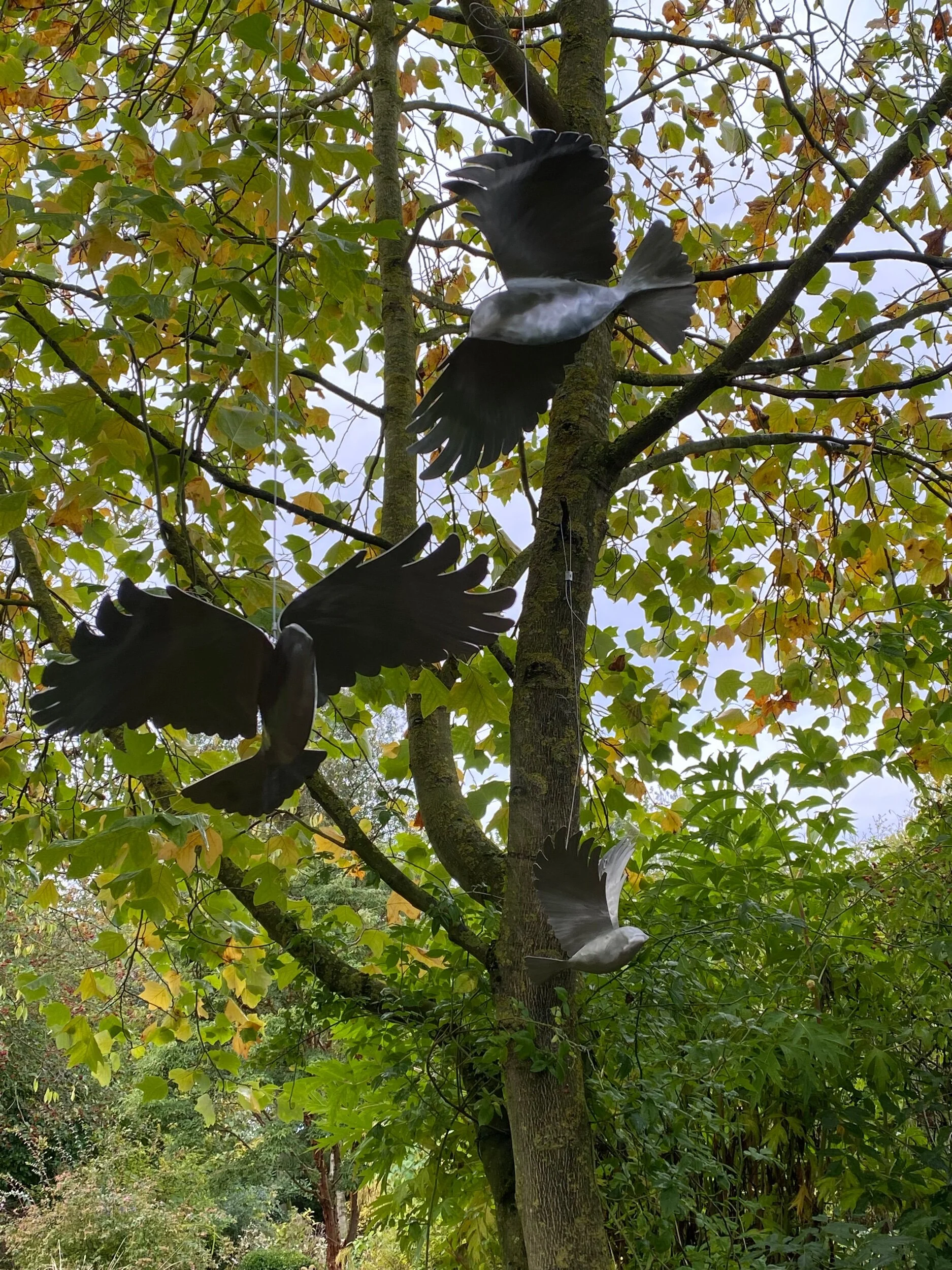 E93EC203-C803-45C1-9AC9-DCAF5280BECE