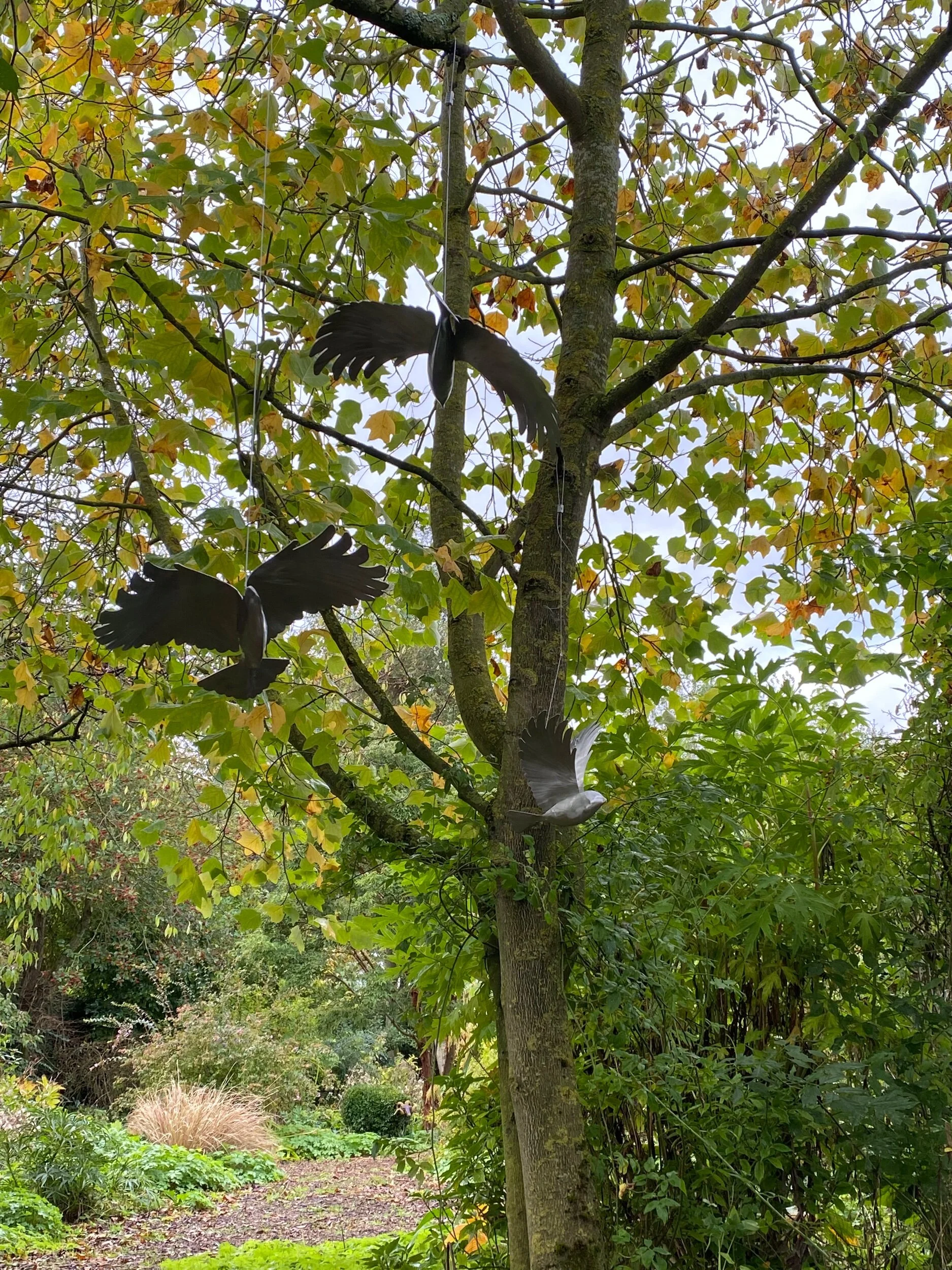 CCBE19C1-B96C-42A3-AC1C-0A55D5C34F59