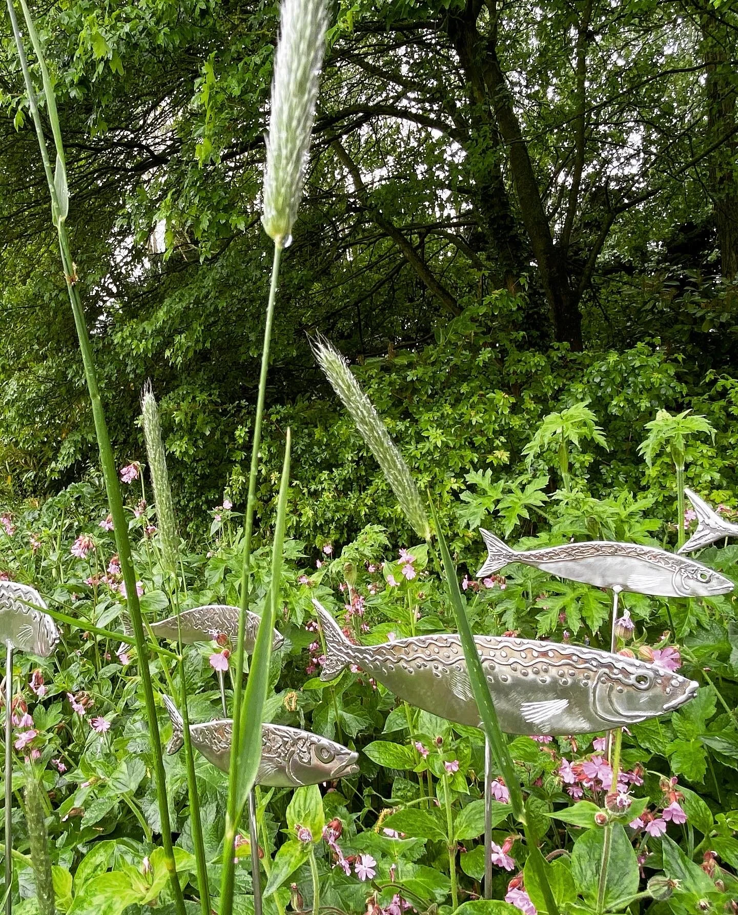 F6250D9D-C7DC-4570-888F-1B2DFB2EA74C