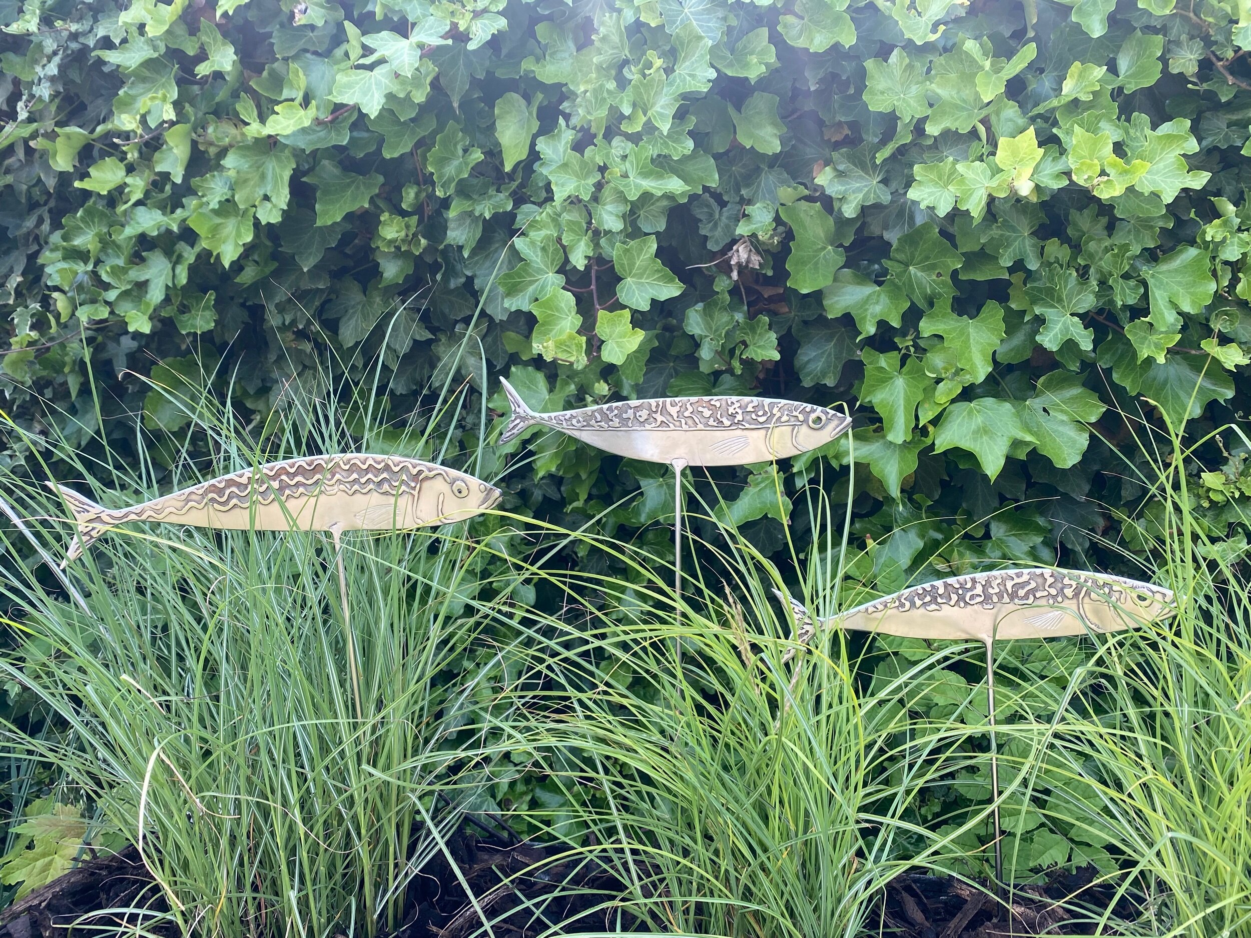 A8D2E69E-3DD5-4513-9899-1F0E73F68637