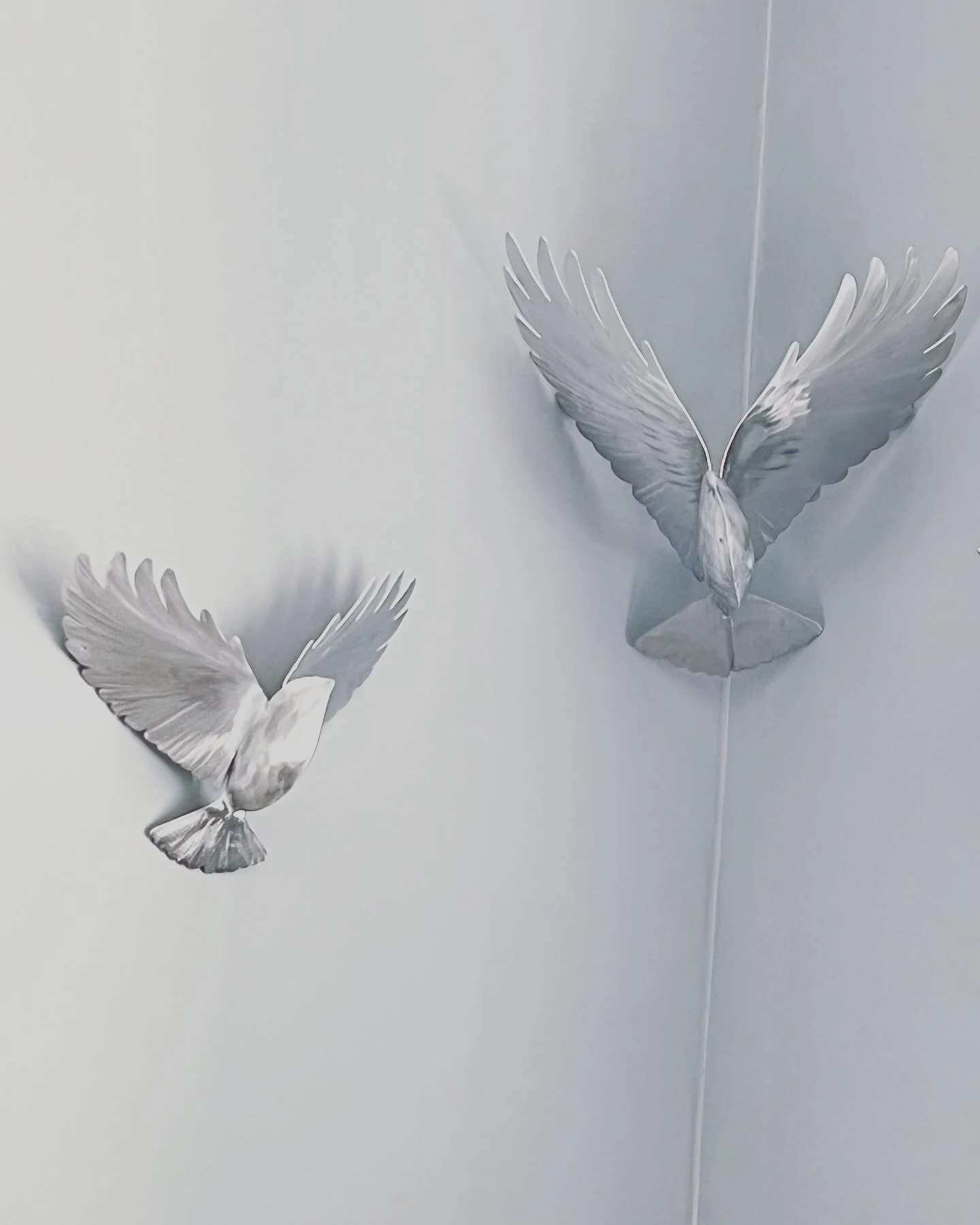 ED351C0D-E460-4DAA-9444-1E68FE7B0FB6