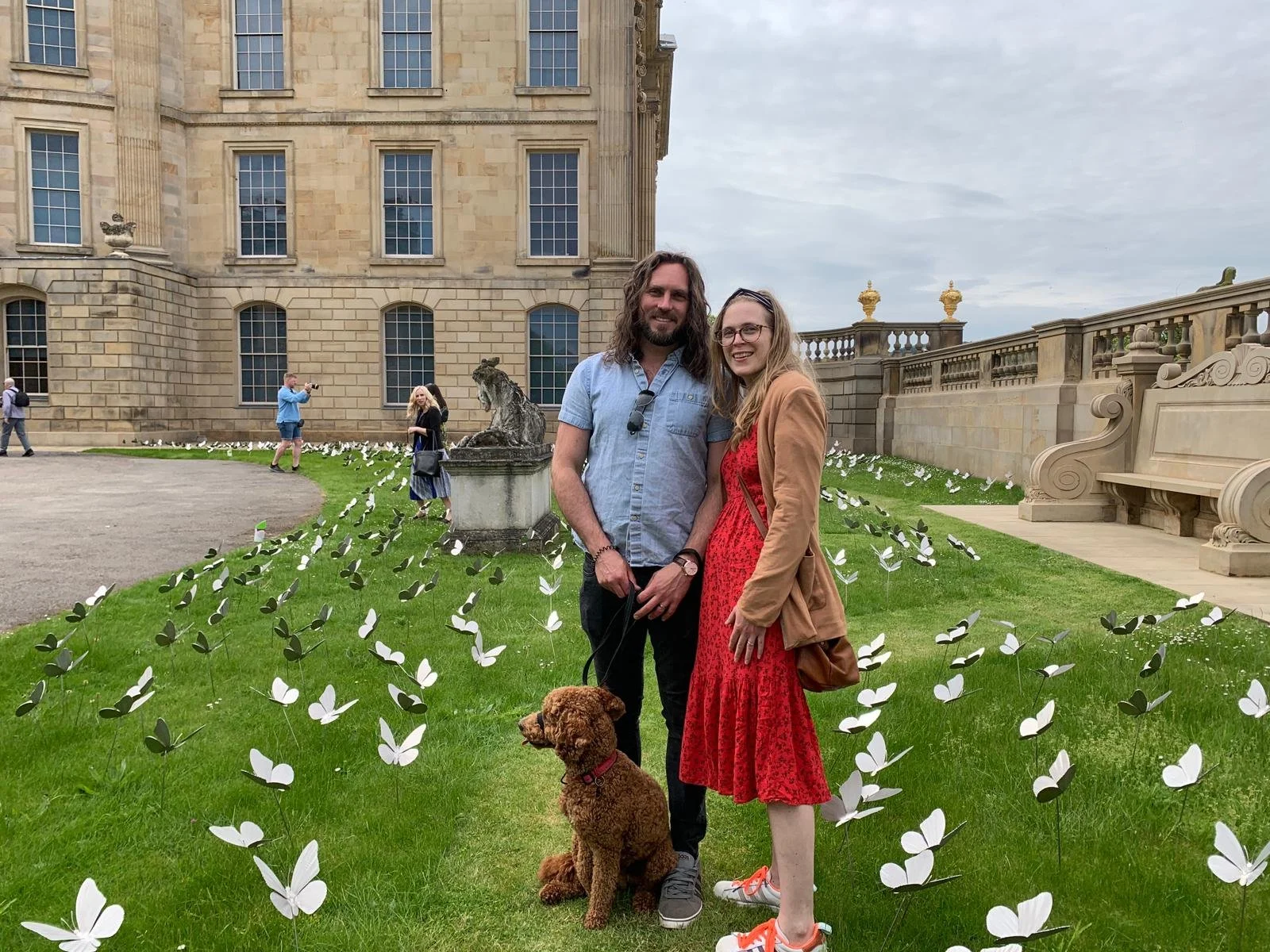 Stainless Steel Butterfly sculptures by James Sutton Sculpture