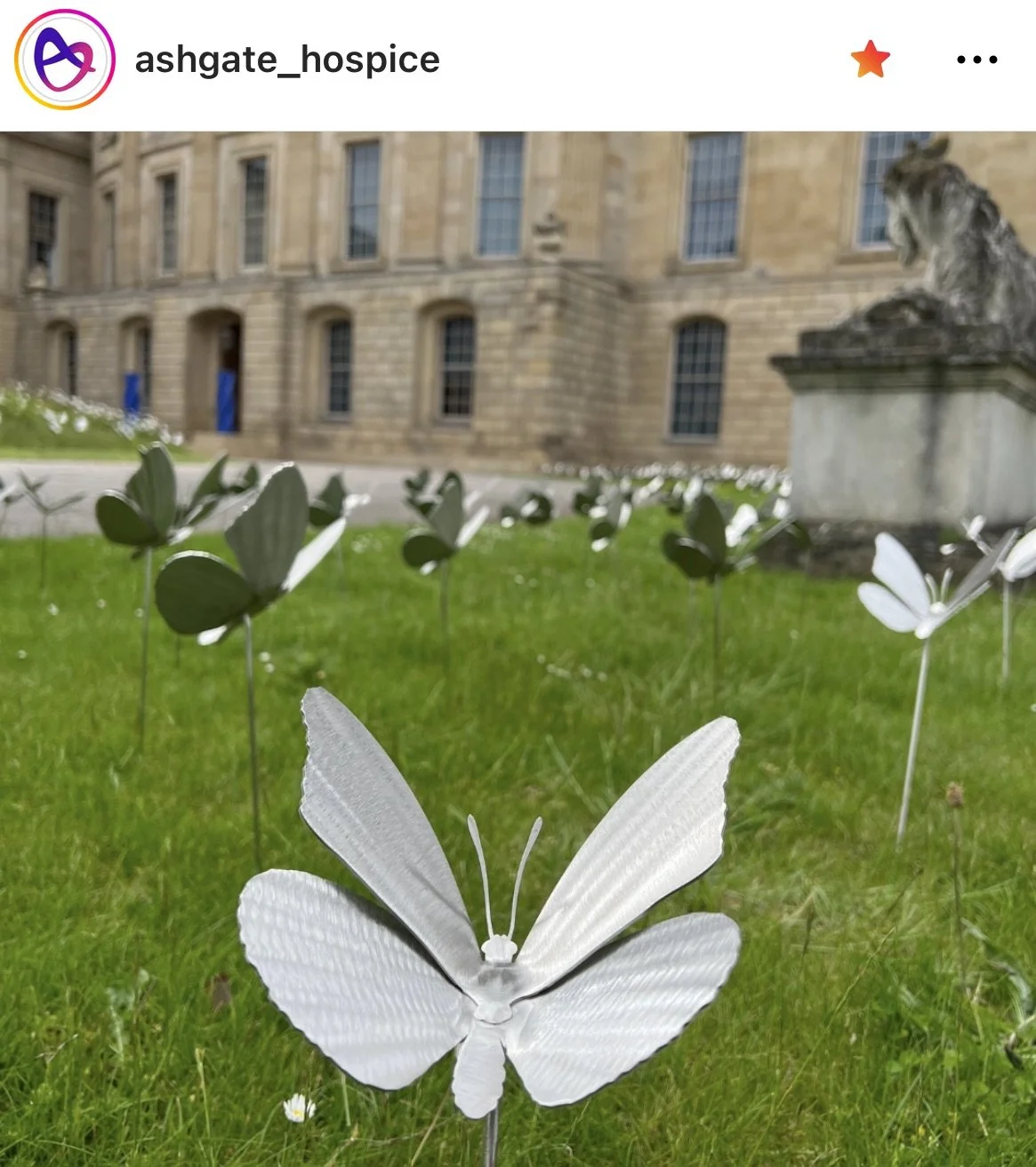 Stainless Steel Butterfly sculptures by James Sutton Sculpture