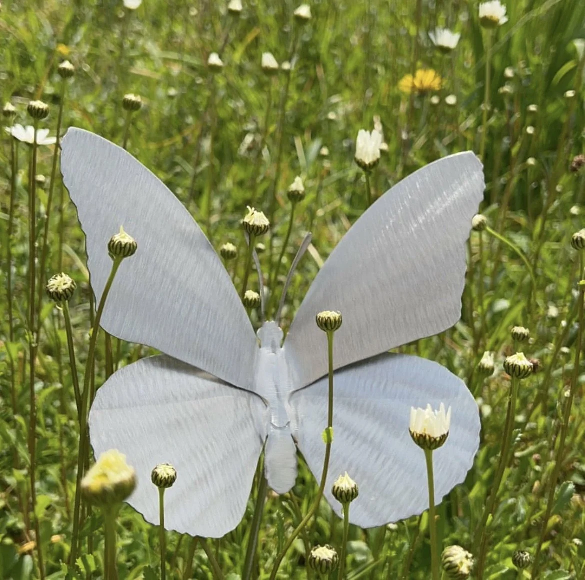 Butterfly sculptures 