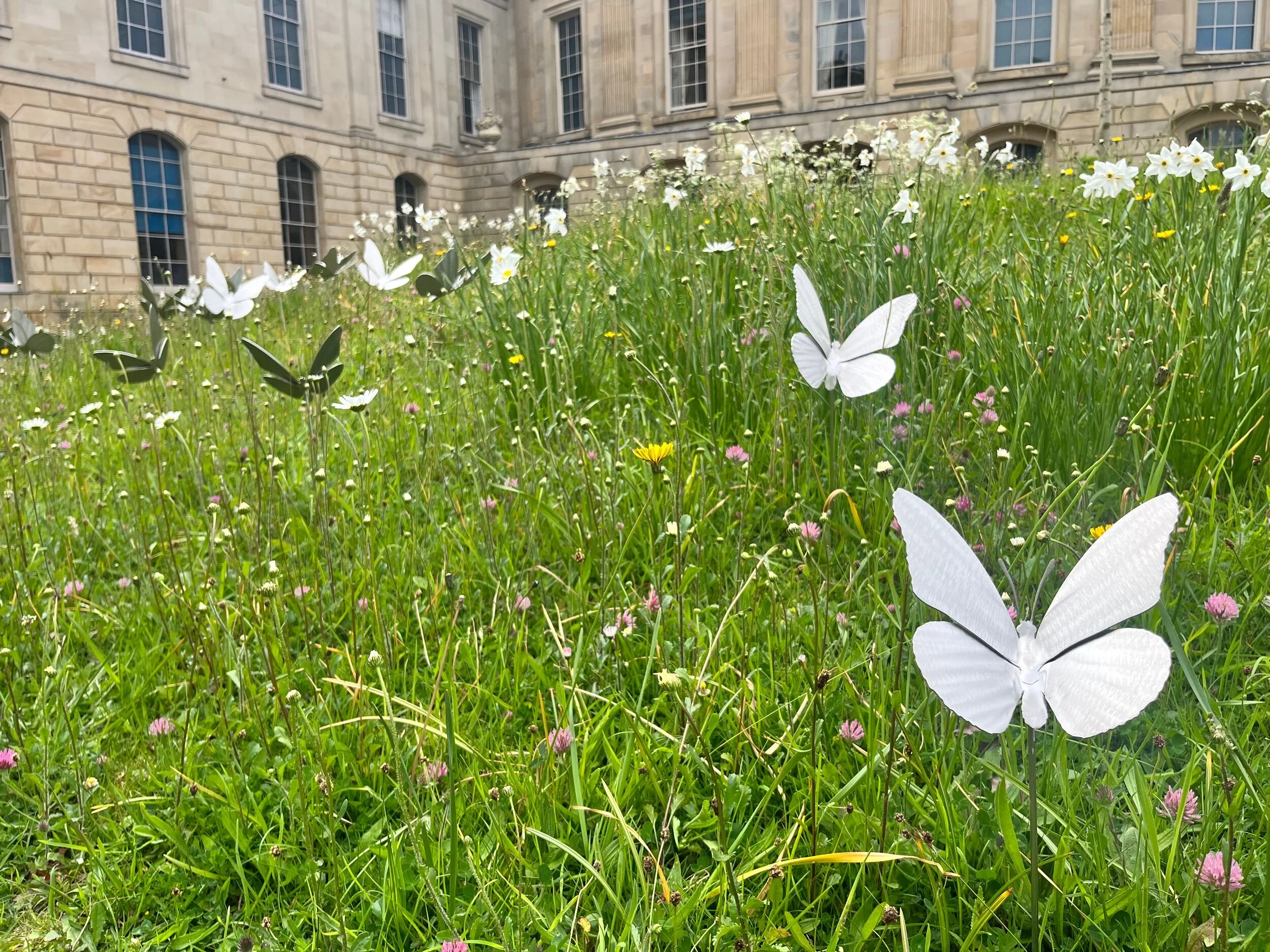 A99F18D4-596A-41CD-AB23-F7BE9EDB7FB5