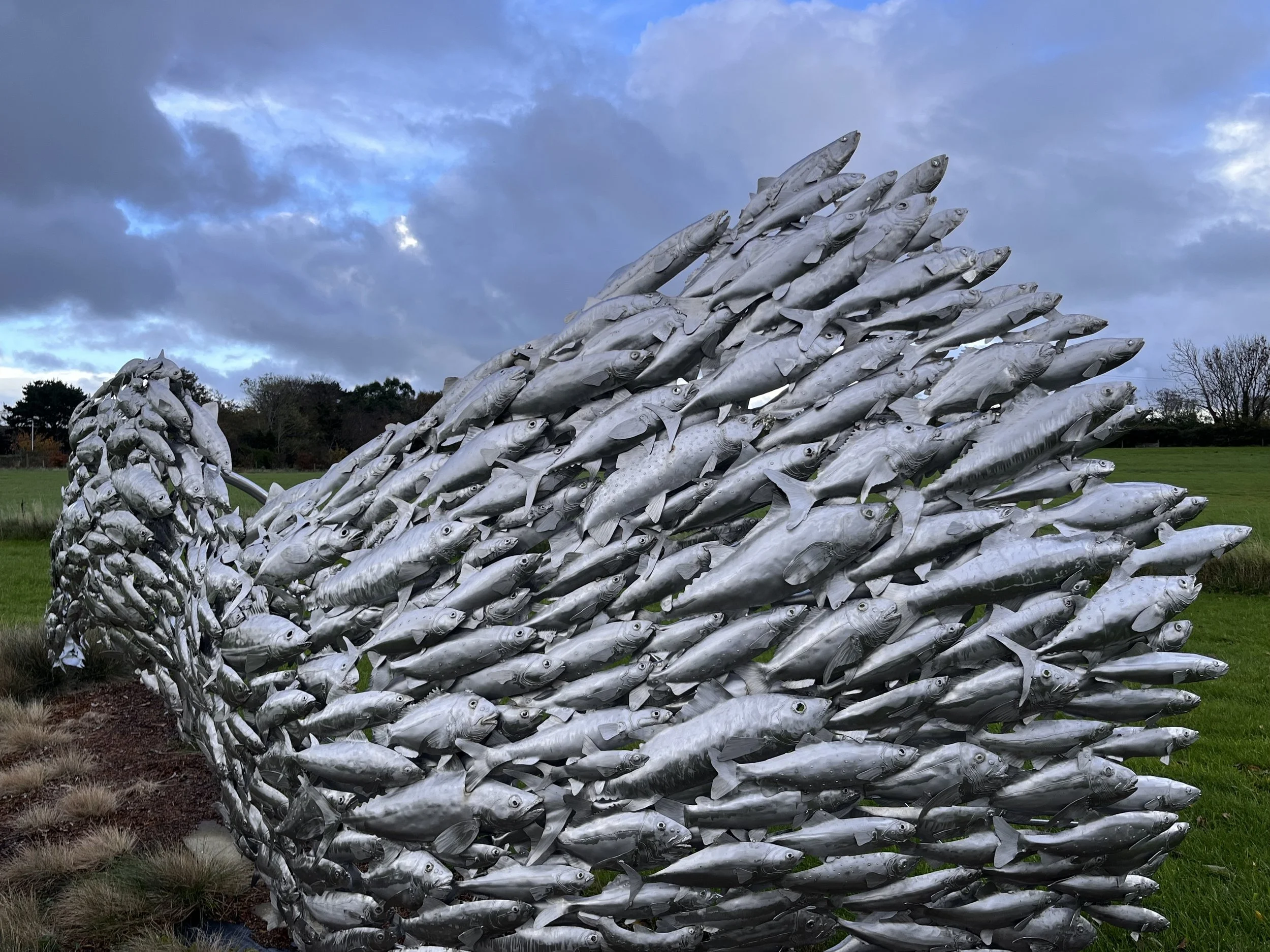 Shoal