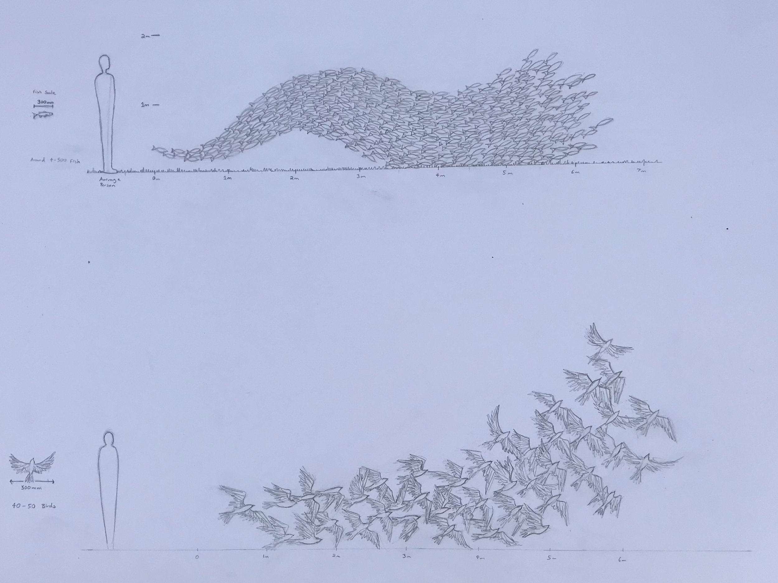 Initial concept drawing for bespoke Birds in the Sky sculpture by James Sutton,