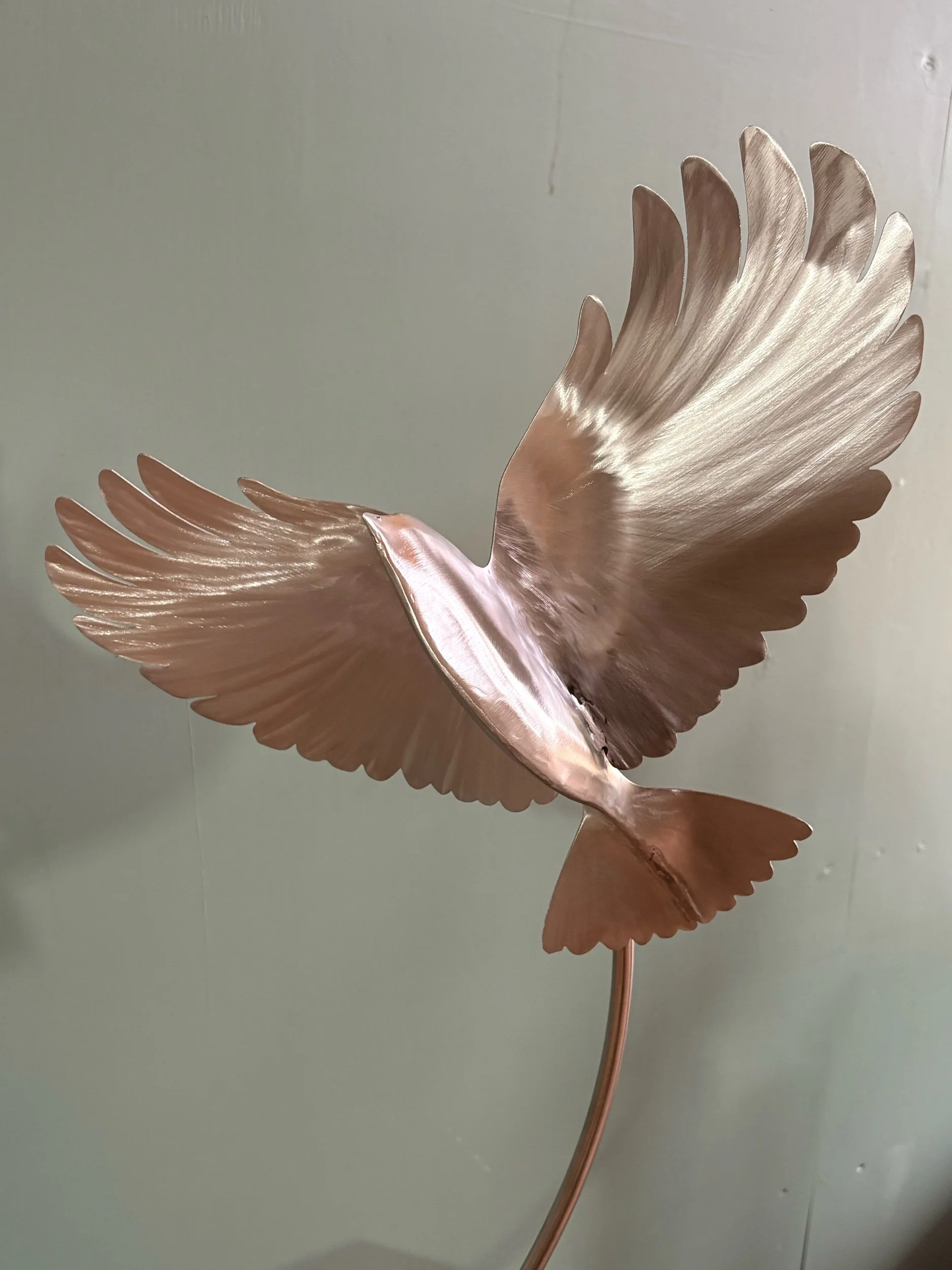 Crossing-Paths-Stainless-bird.jpeg