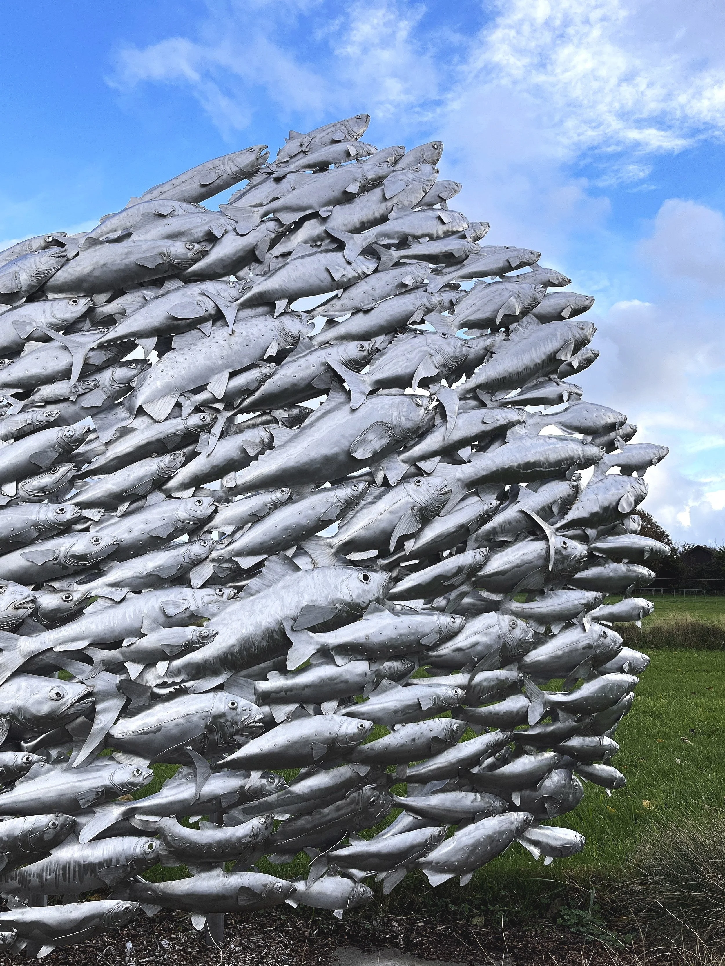 8m Monumental Stainless Steel Fish Shoal | Public Art Commission by James Sutton Sculpure