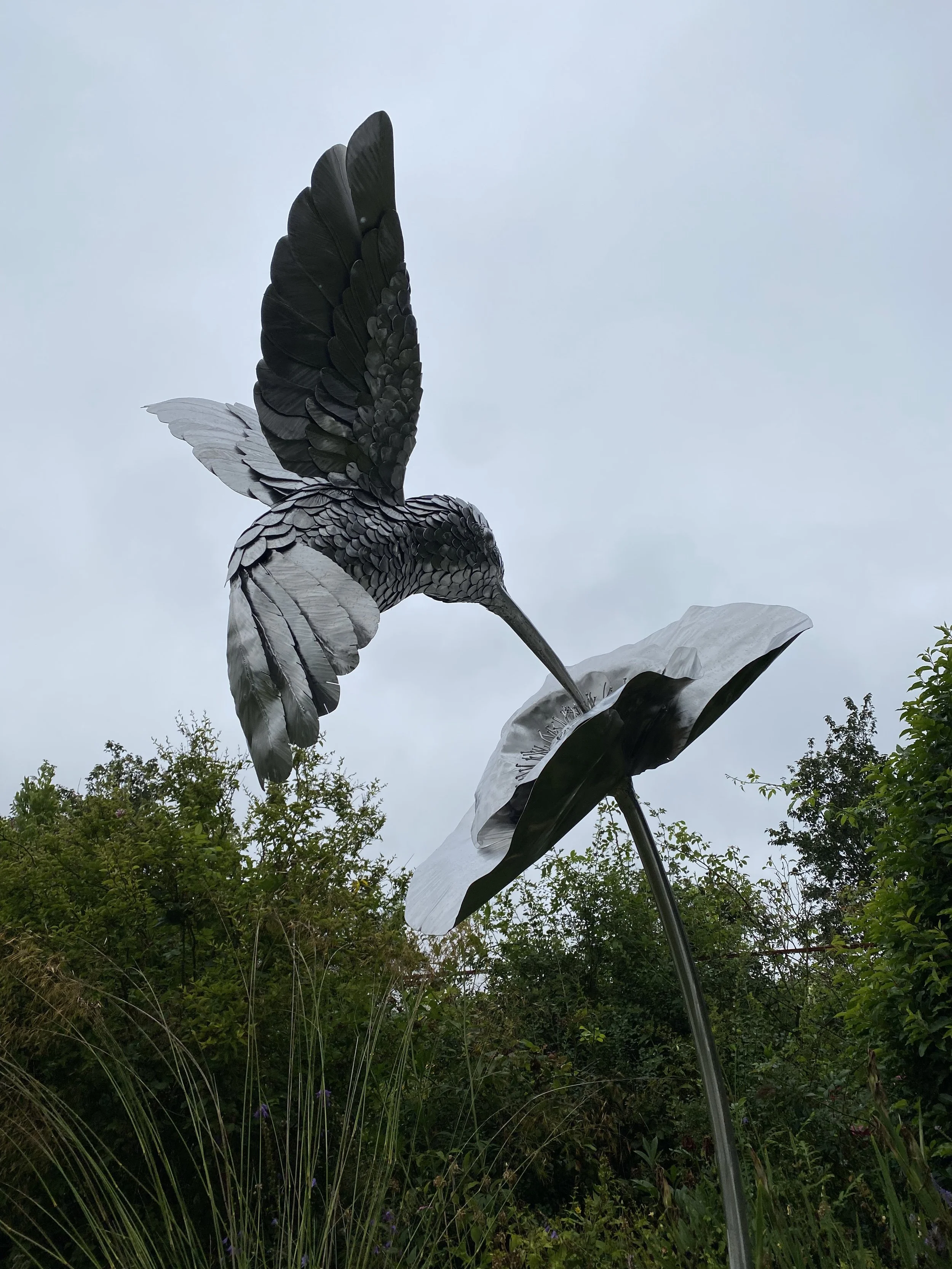 James Sutton Sculpture Hummingbird4.jpeg