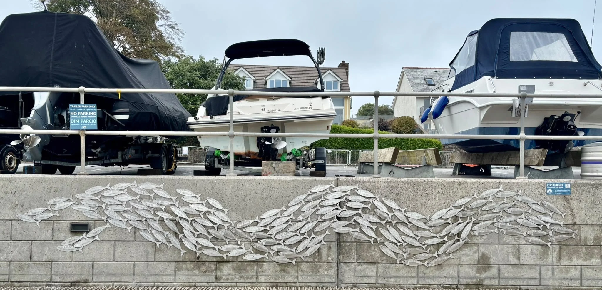 Shoal of engraved memorial fish