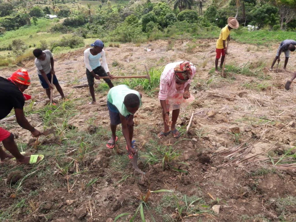 e09c84e0-fc1b-49d9-ae4a-df84b77394ac 2.JPG