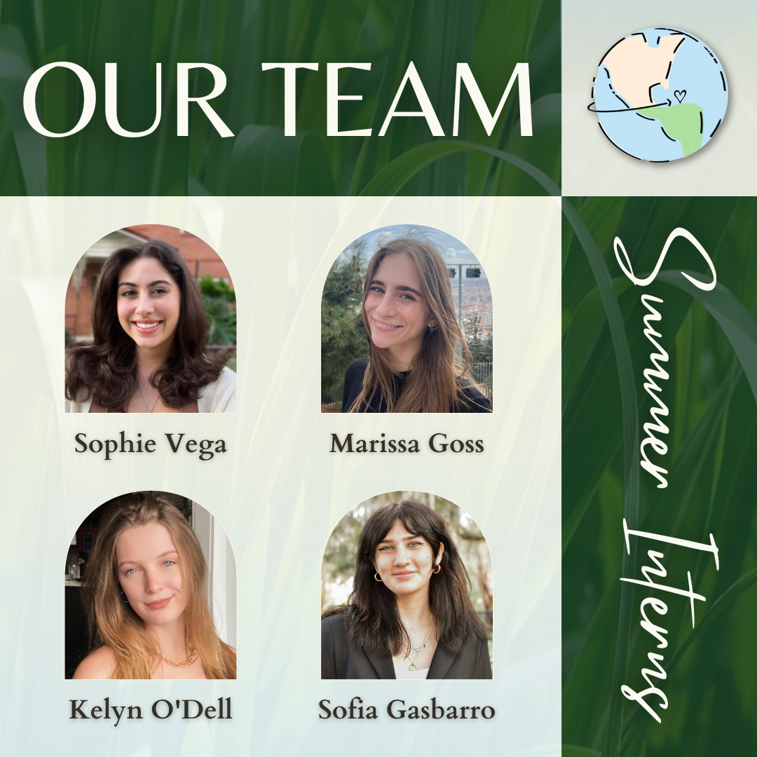 Meet Our Summer Intern Team!