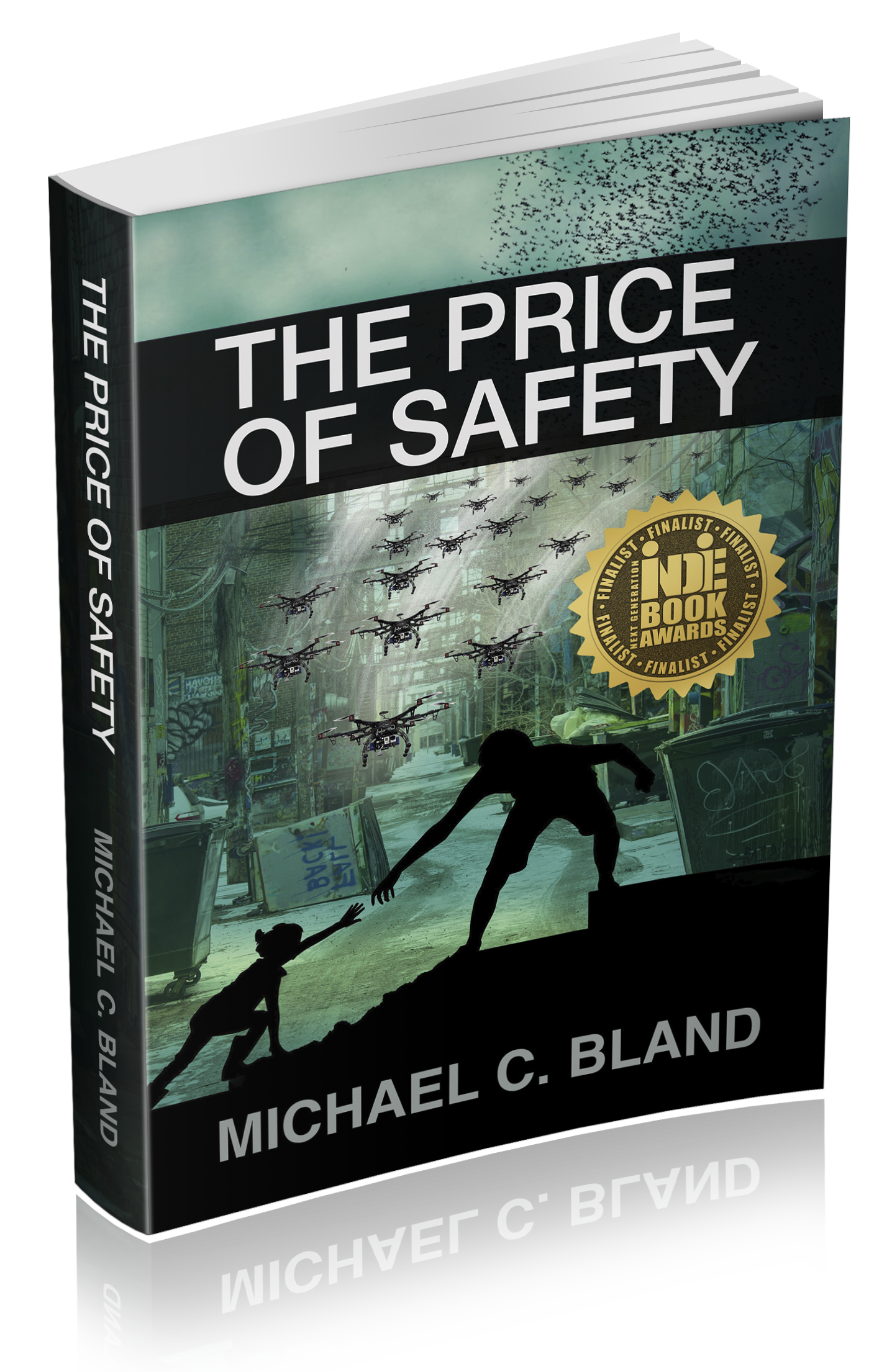 PriceofSafety 3D Paperback.png