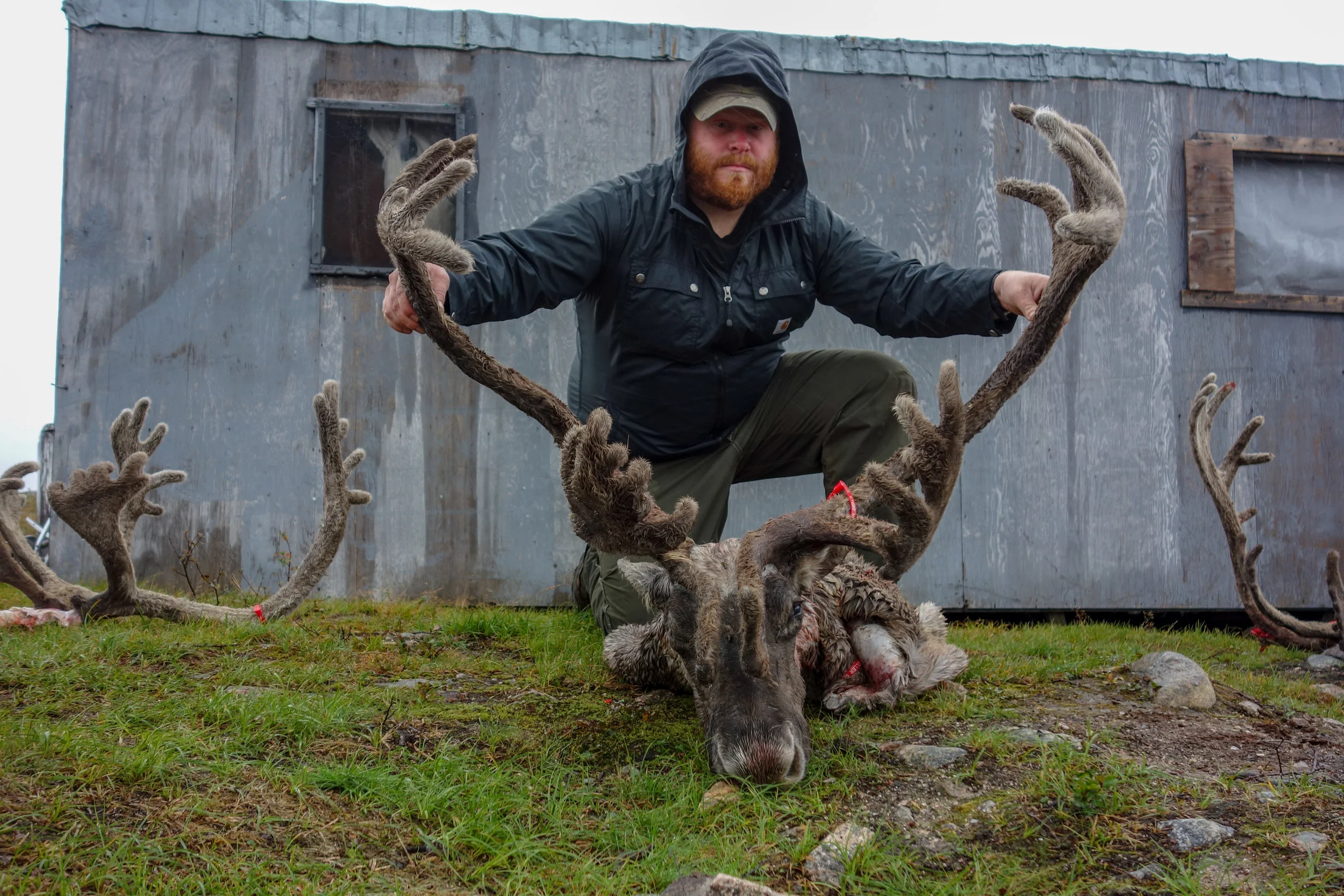 20140904-DSC09234 2014 Hunting Trip Canada Jake carabou.jpg