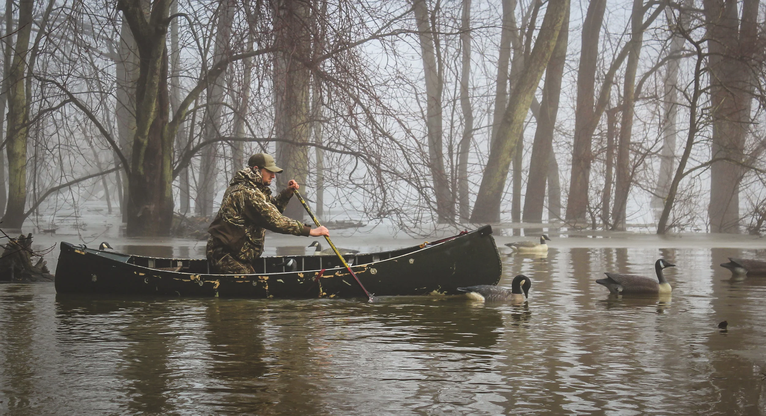swampfinal_Liftedshadow.jpg