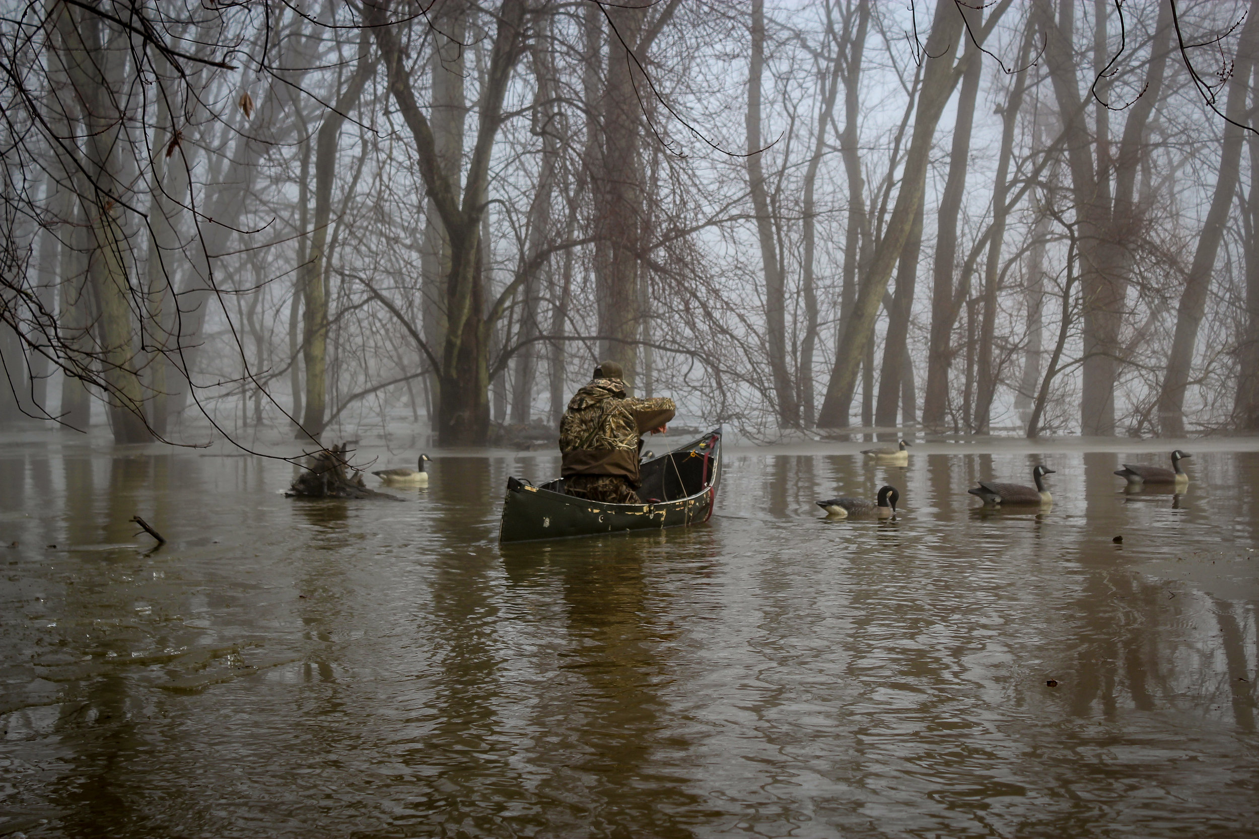 swampfinal-10.jpg