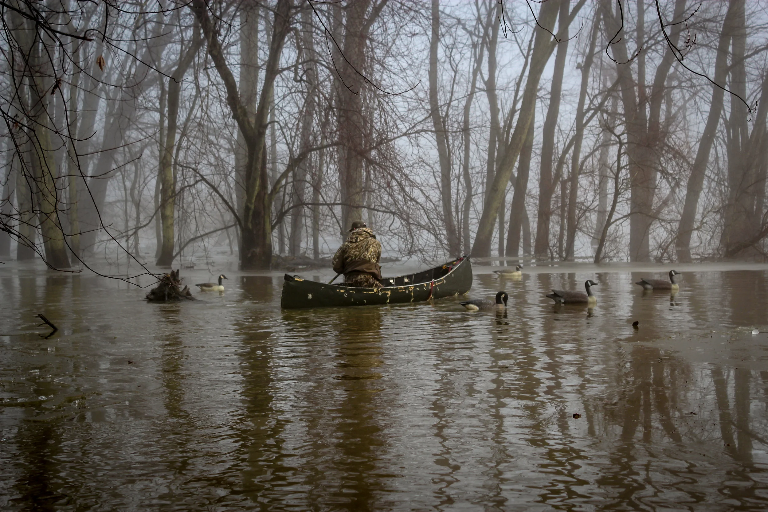 swampfinal-12.jpg