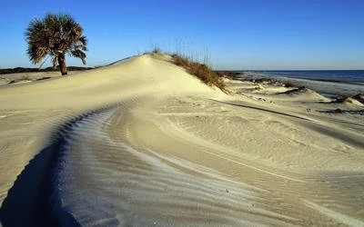 cumberland-island-national-seashore-2434-400x250.jpg