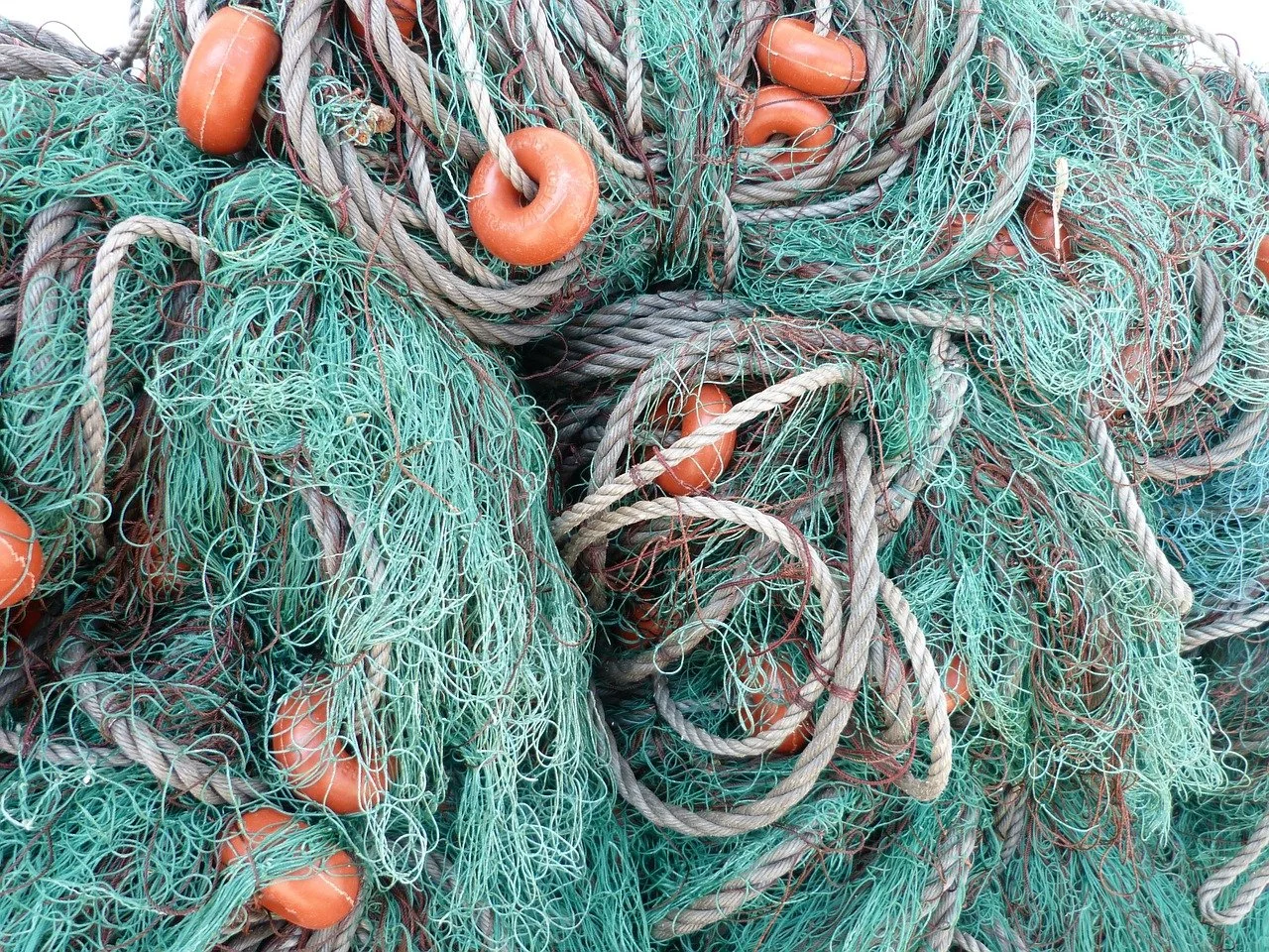 fishing-nets-101992_1280.jpg