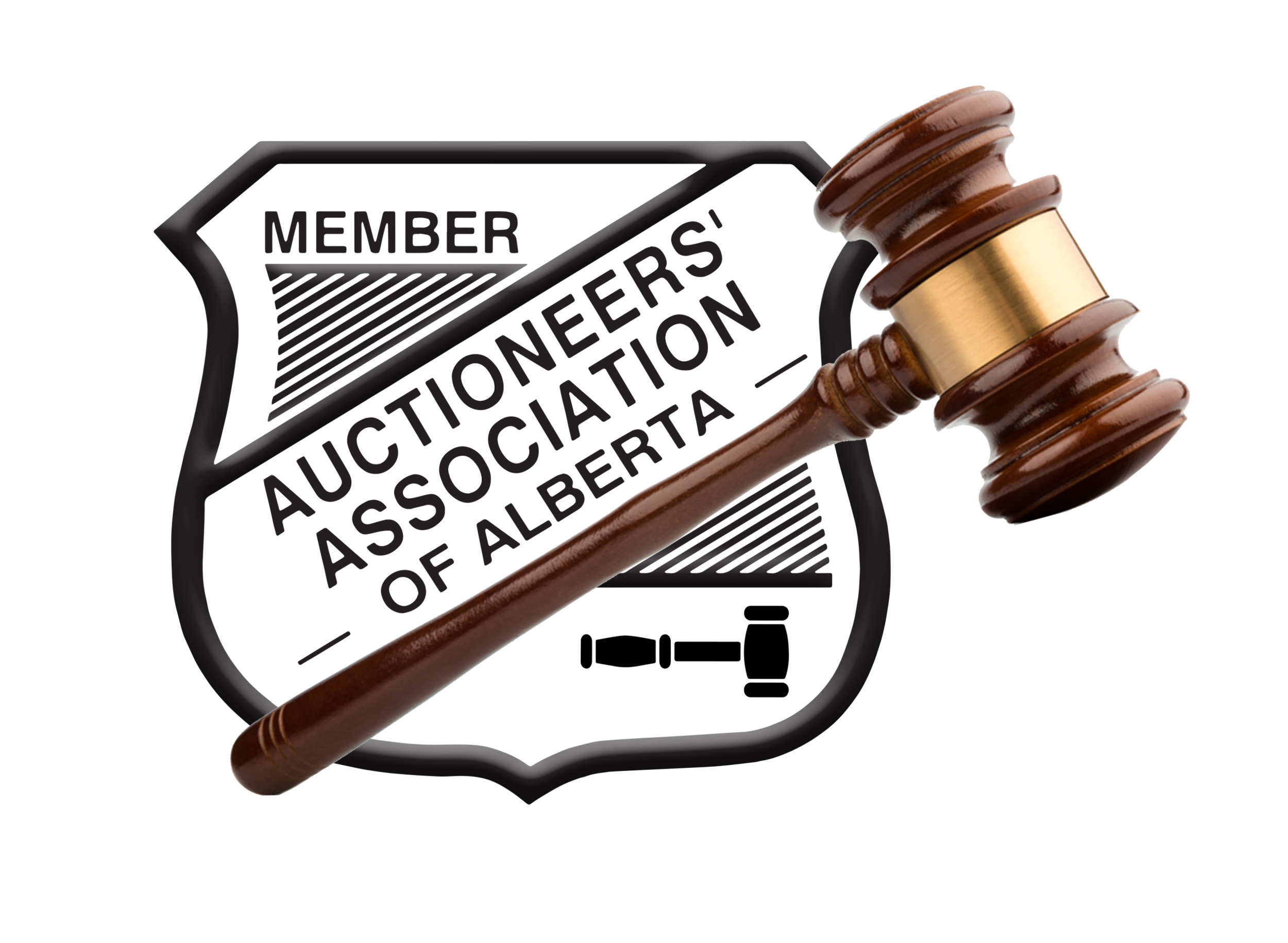MAAofA Logo (5).png