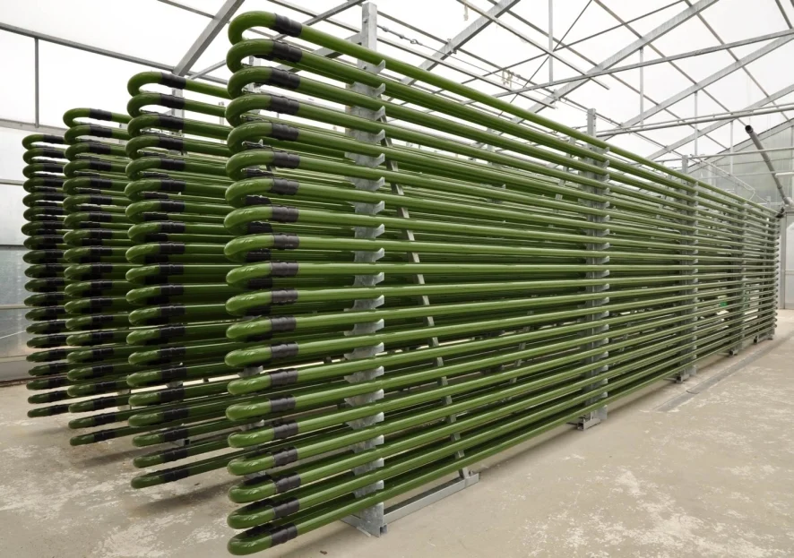 Photobioreactor.jpg