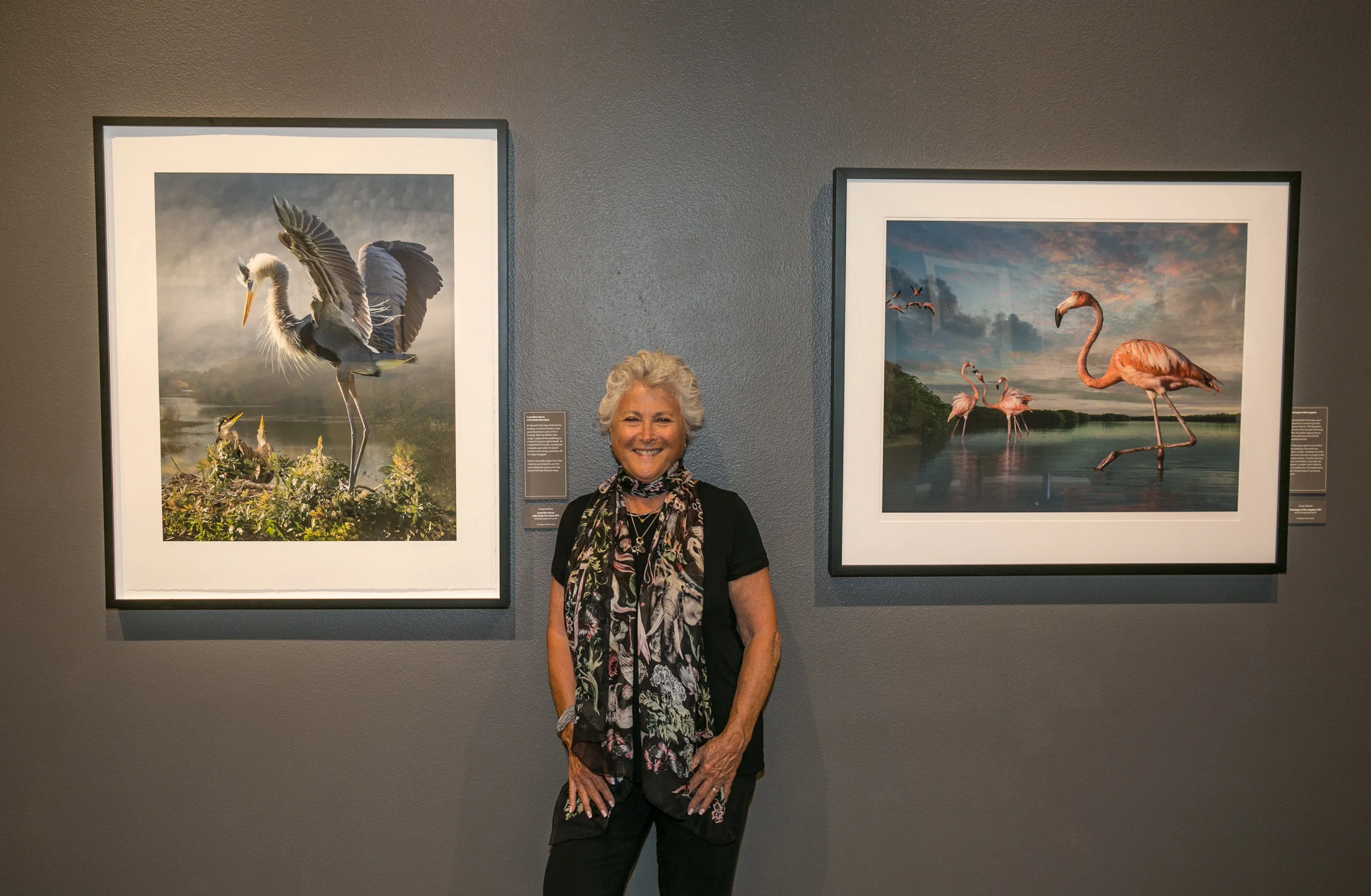 Cheryl Medow