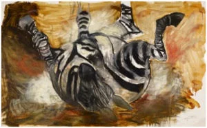 zebra-300x186.jpg