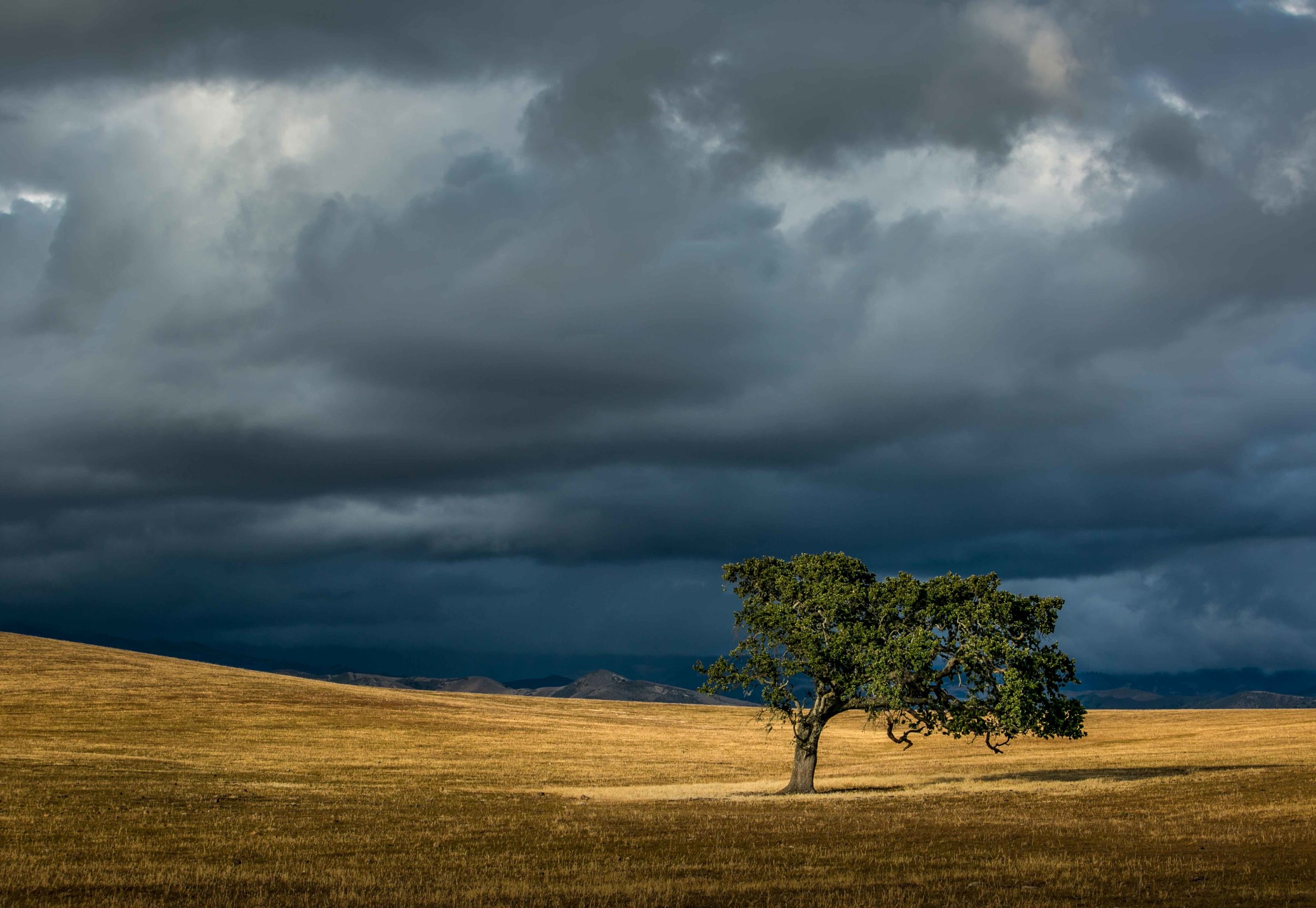 Santa Barbara County &amp; Beyond: Recent Photographic Landscapes By George Rose
