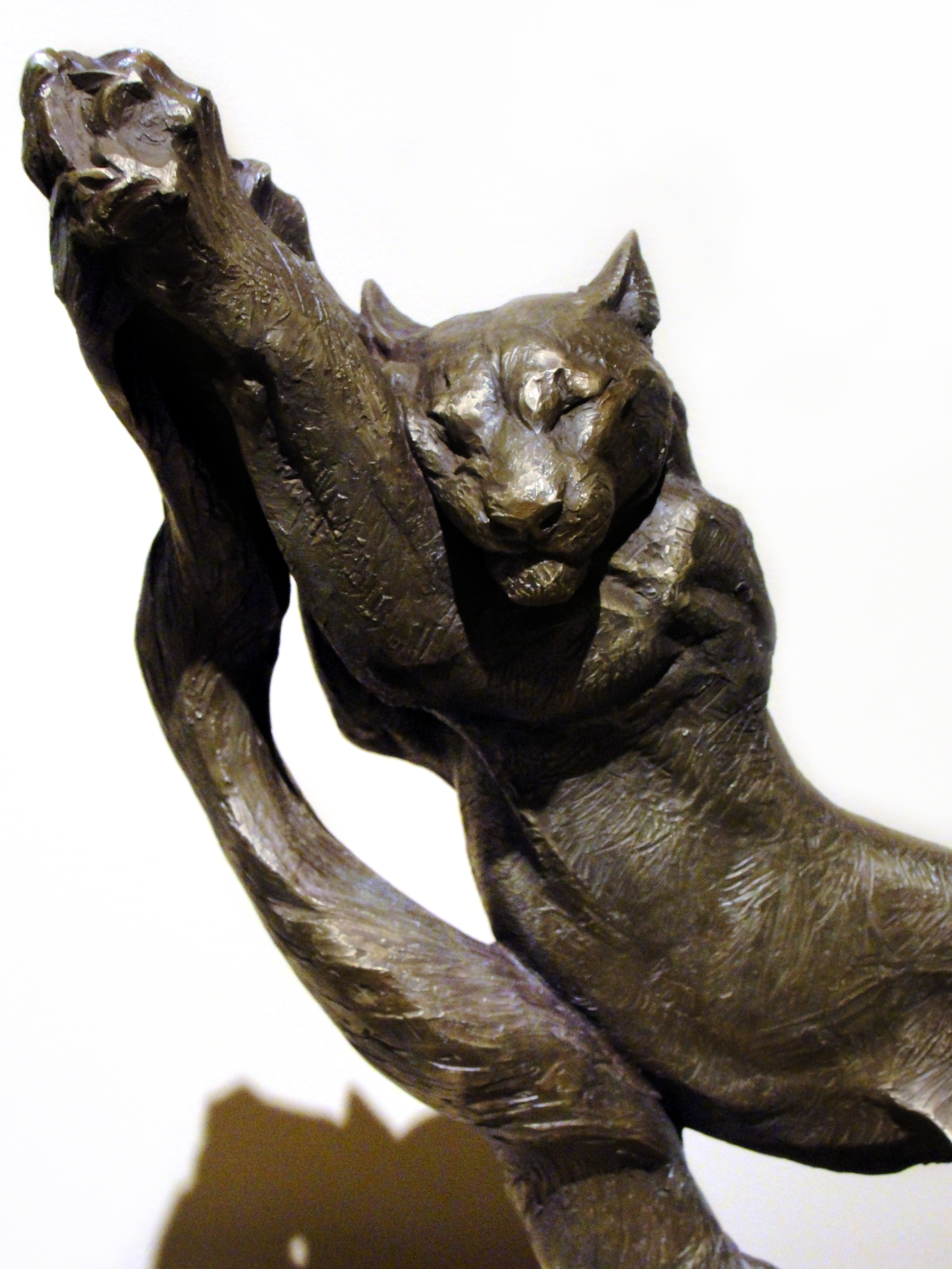 Permanent Collection