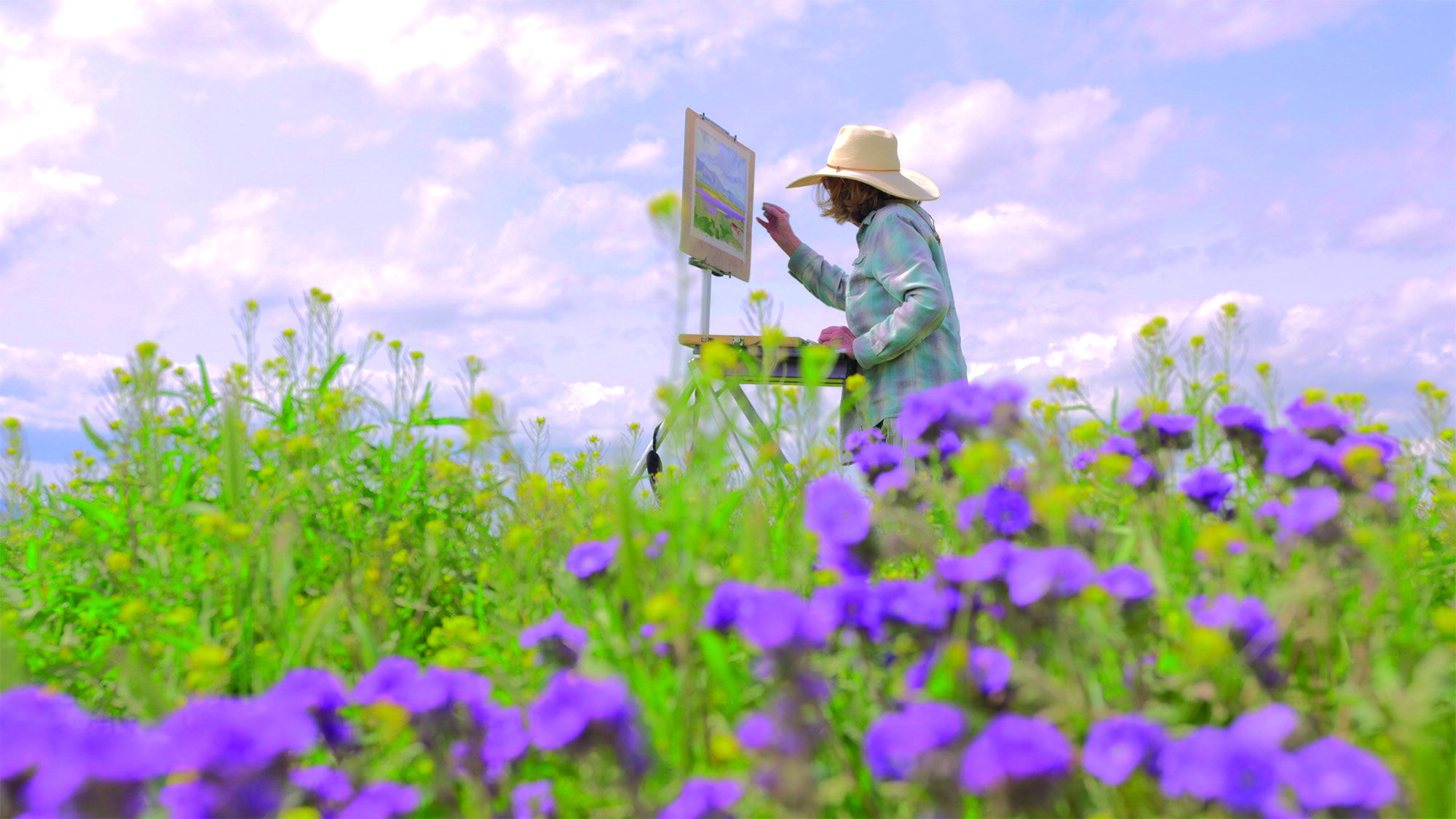 Chris Chapman works en plein air amid the phacelia on the Carrizo Plain in April 2019. She paints plein air landscapes and botanical illustrations, and is also a member of Santa Barbara’s Oak Group, a collective of artists known as “painters for pre…