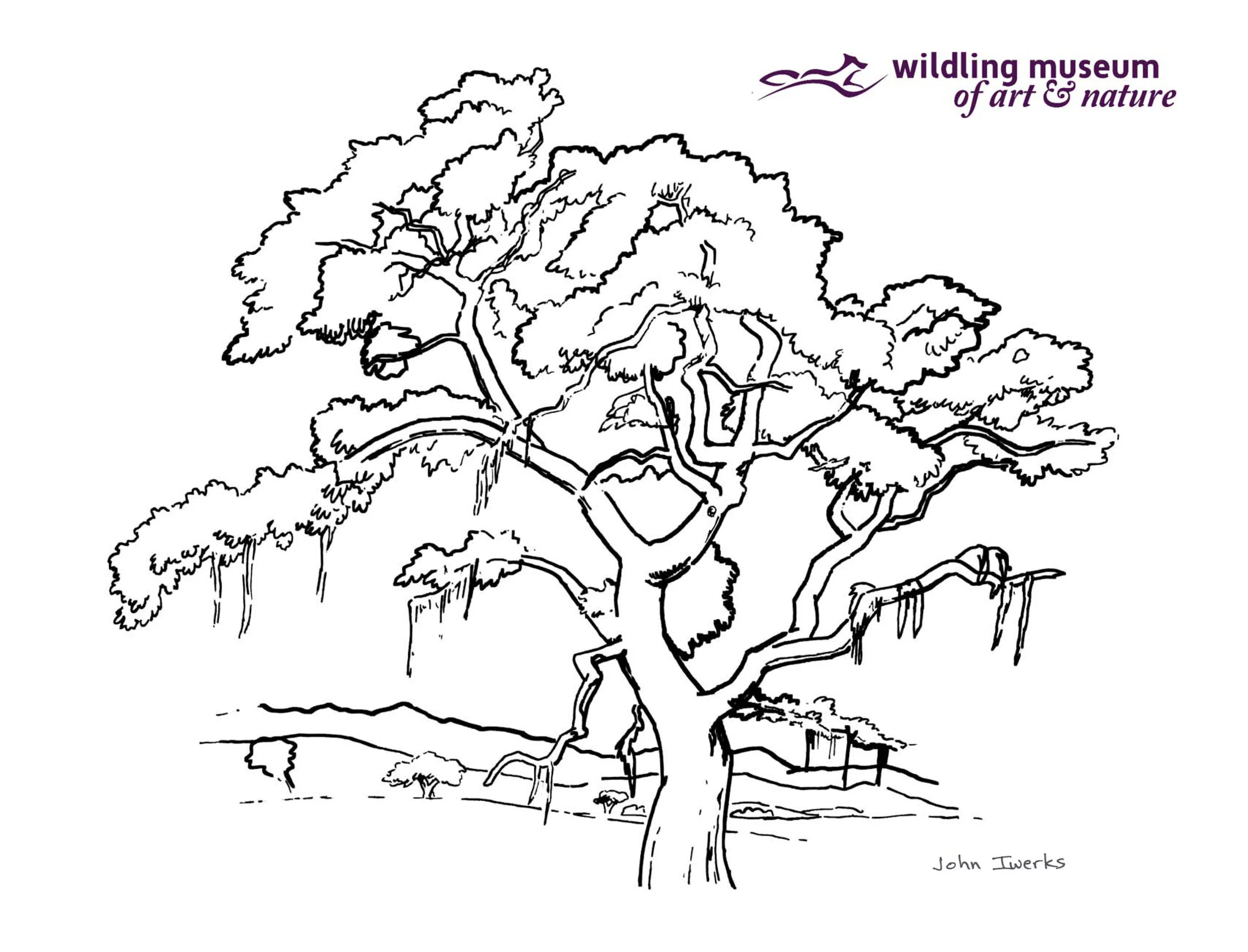 Oak-Mural_Coloring-Page_2020.jpg